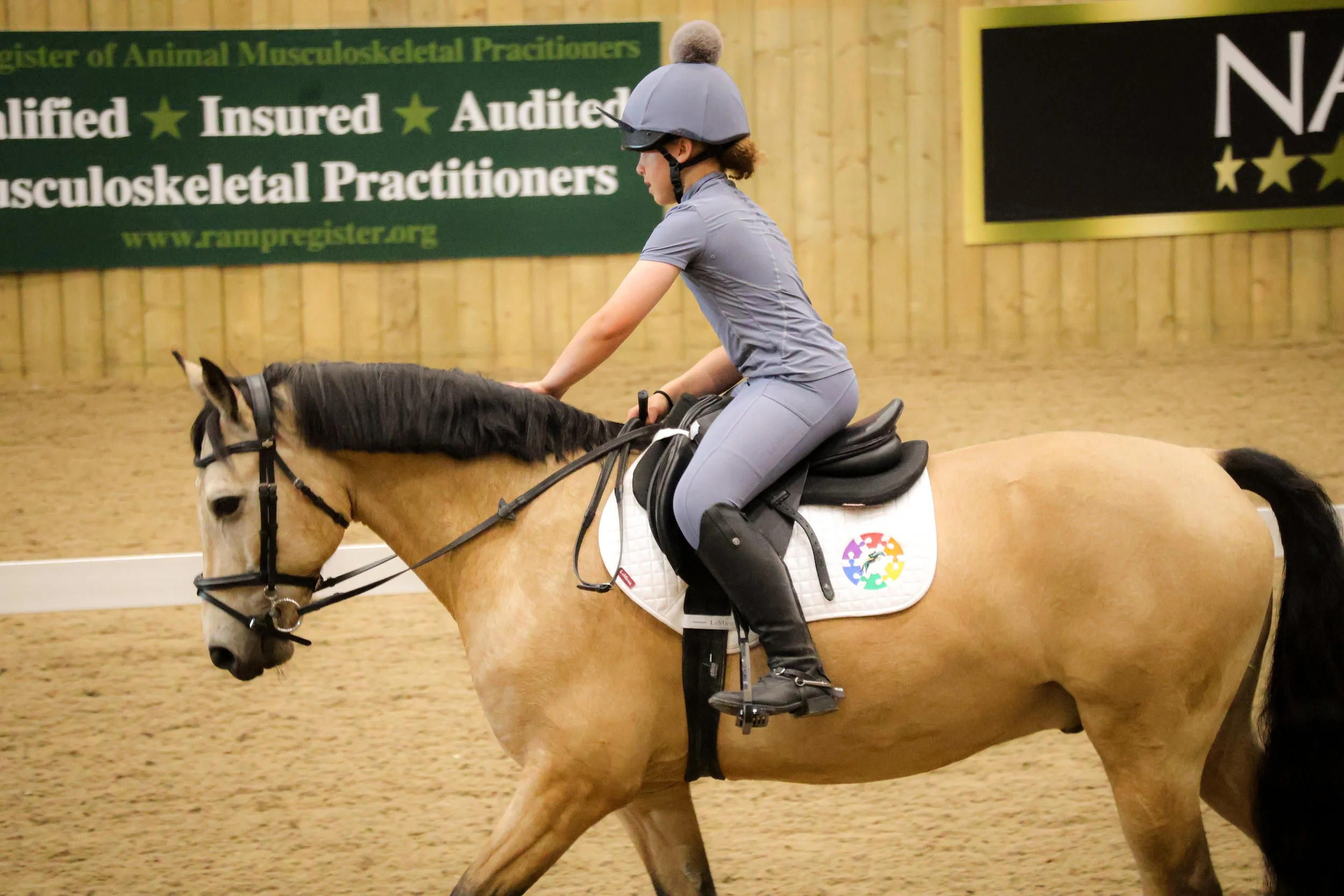 Dressage Training Day