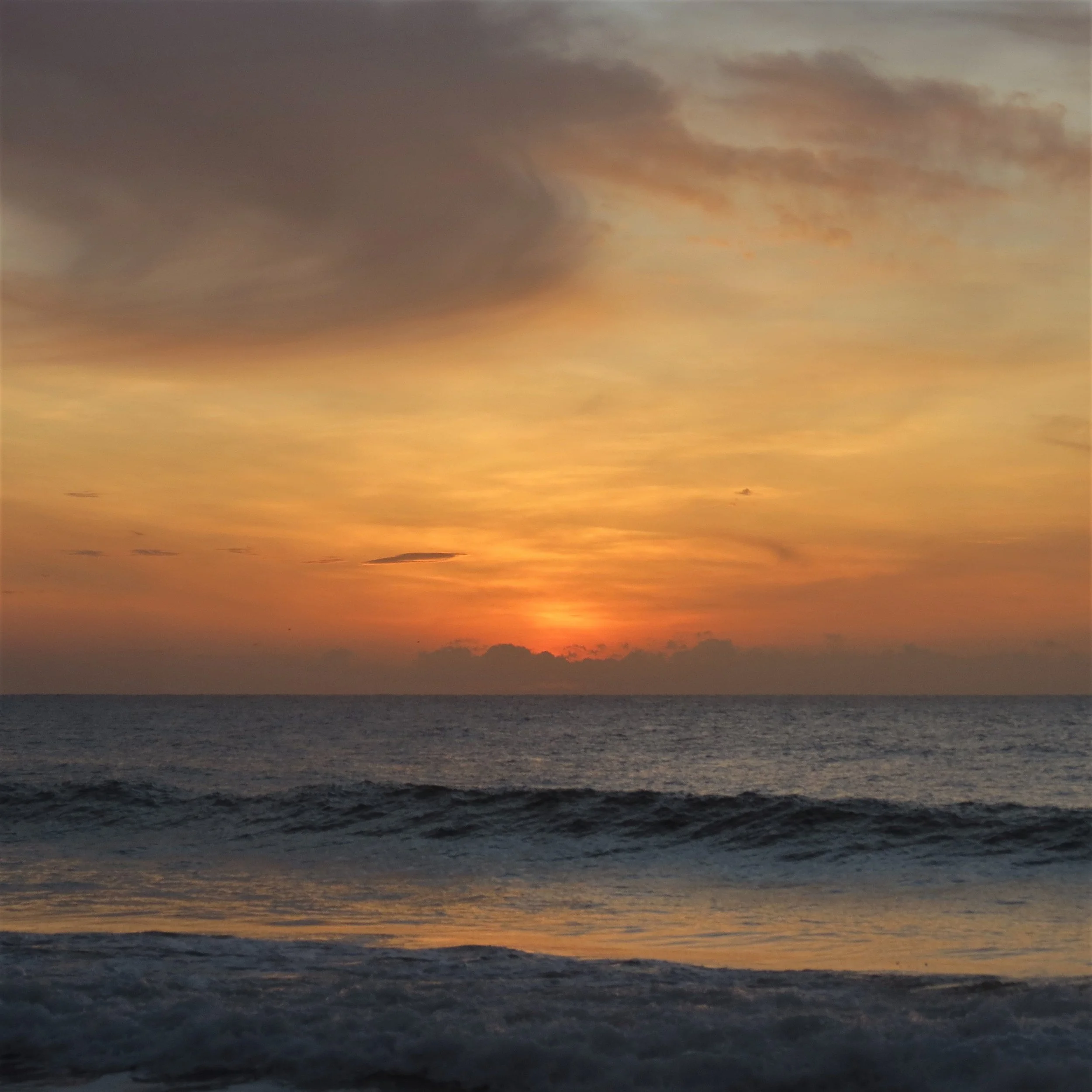 sunrise cloud bird.JPG