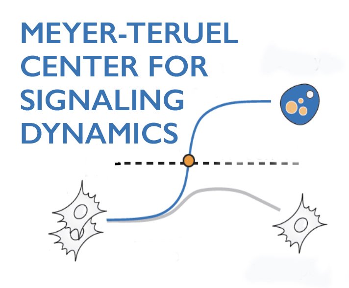 Meyer &amp; Teruel Laboratories