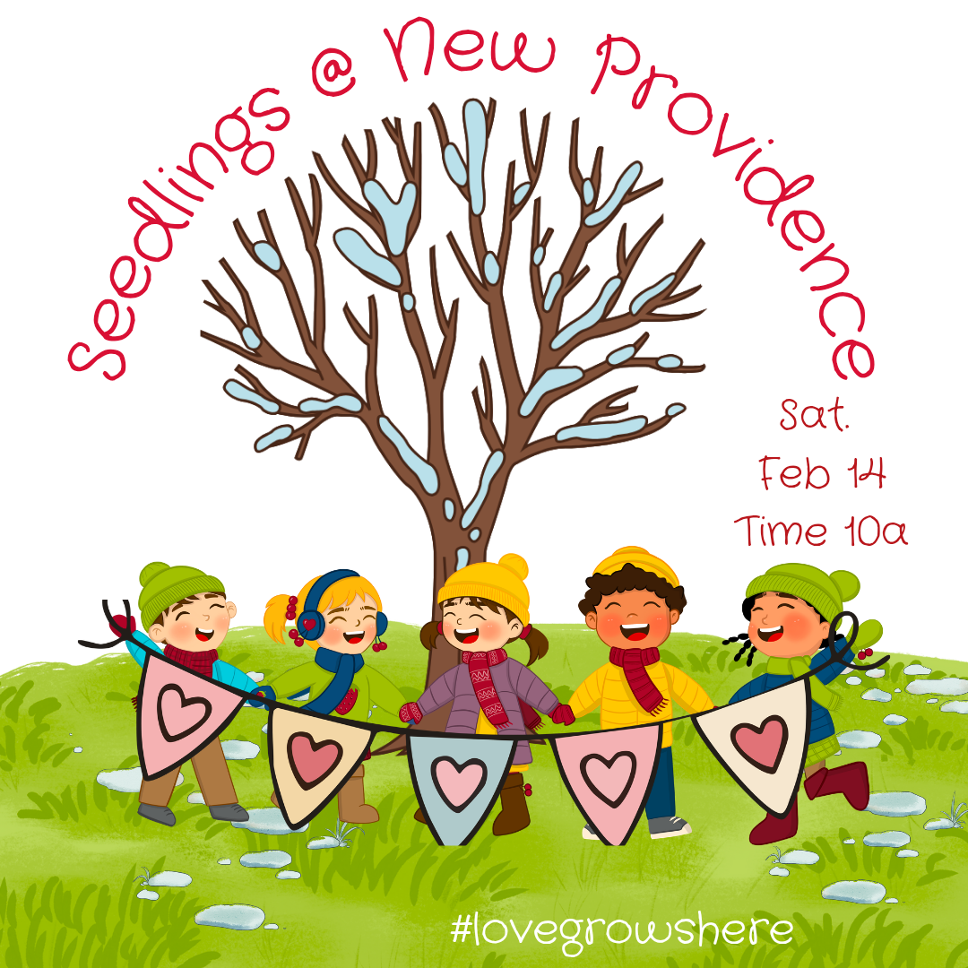 Seedlings Storytime_20260126_084934_0000.png