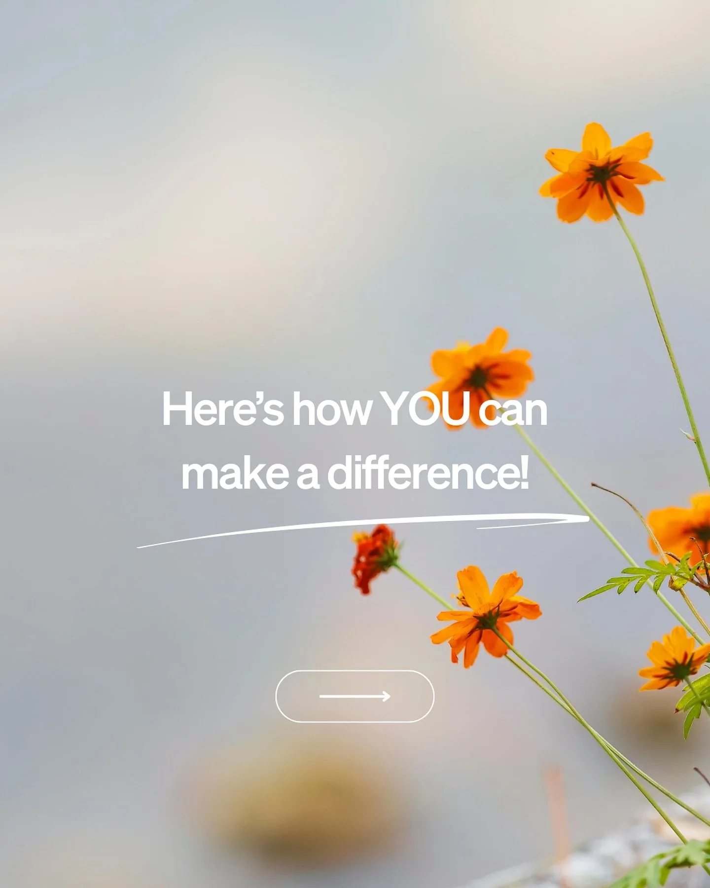 On Saturday, Zero Emissions Day reminded us to hit pause and give our planet a much-needed breather! 🌱 

In honor of that, we&rsquo;re sharing 5 super-easy tips to shrink your carbon footprint. Because hey, even small moves can create BIG waves towa