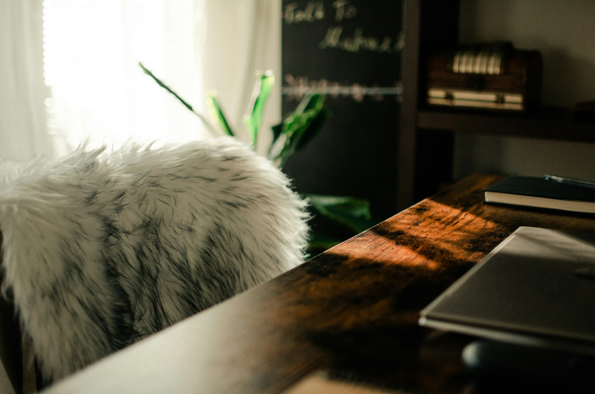 Creating Calm Spaces for Busy Professionals: A Step-by-Step Guide (2026)
