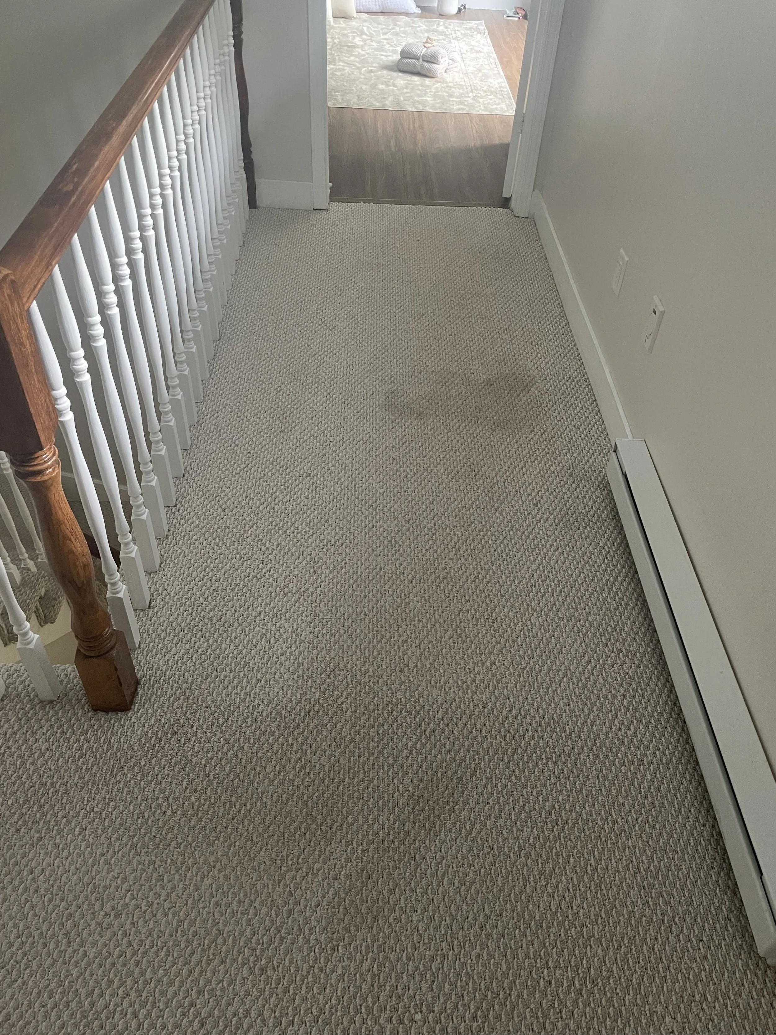 Carpet Cleaning Before
