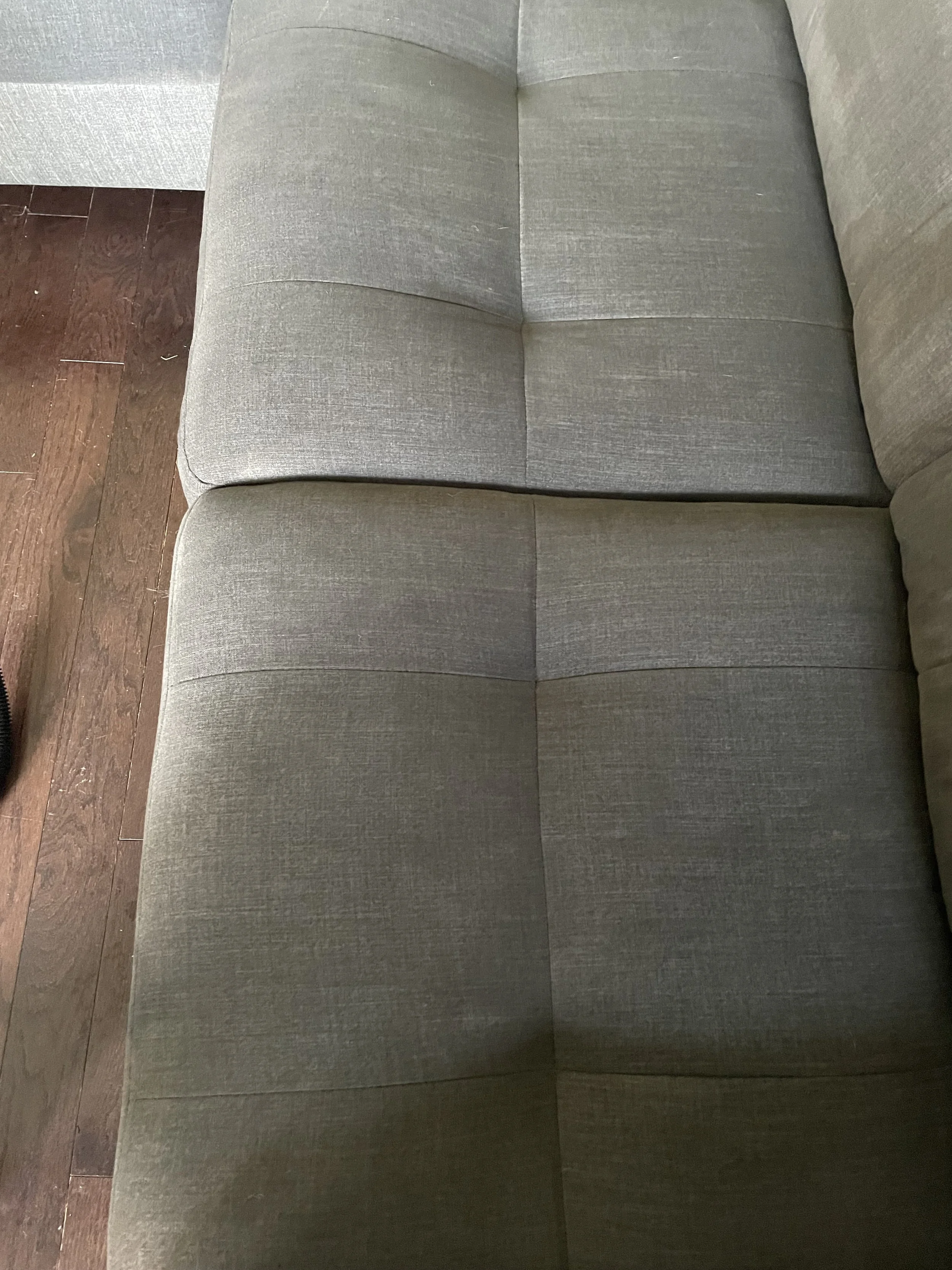 Couch Cleaning After