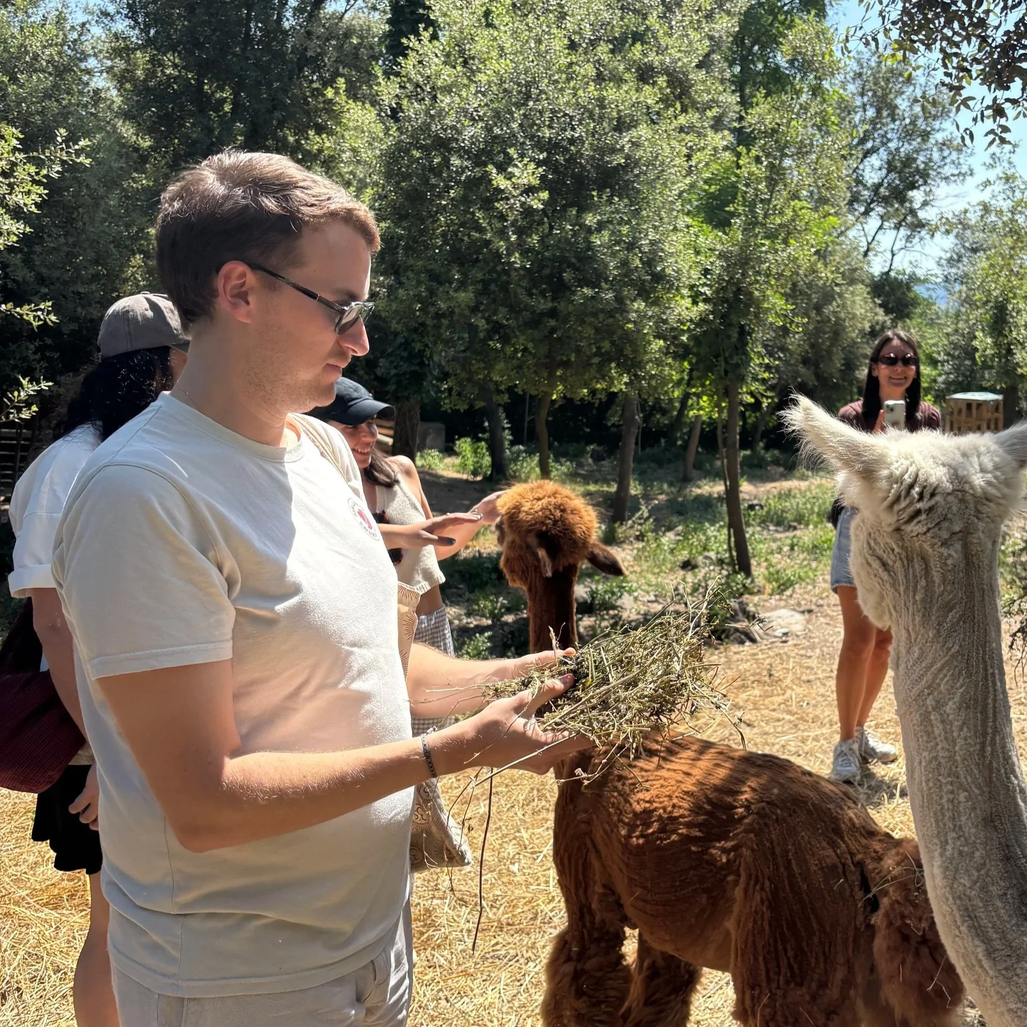 hombre tejedor club textil alpacas