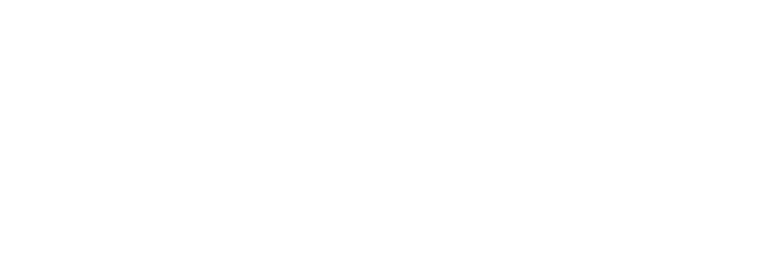 Vision Conference