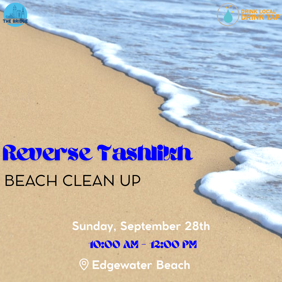 Reverse Tashlikh: Beach Clean-Up