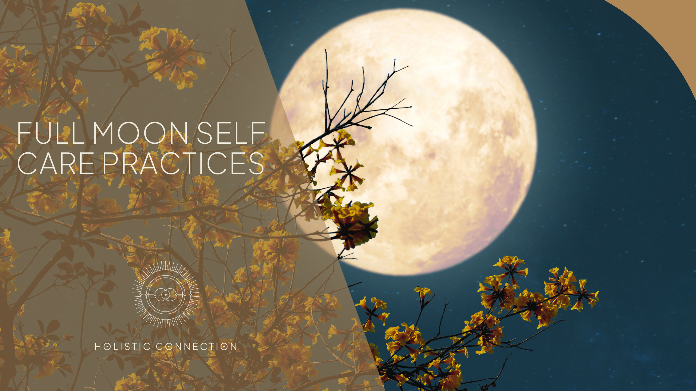 Full Moon Self-Care Practices that Support Energetic Hygiene