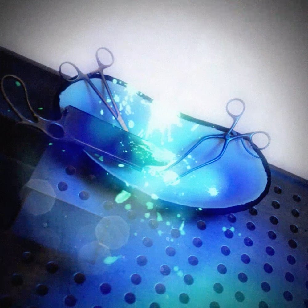 Julia Schwarz Series:  Book Trailer