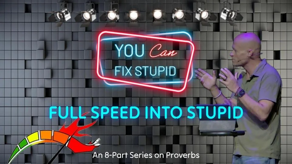 Full Speed Into Stupid