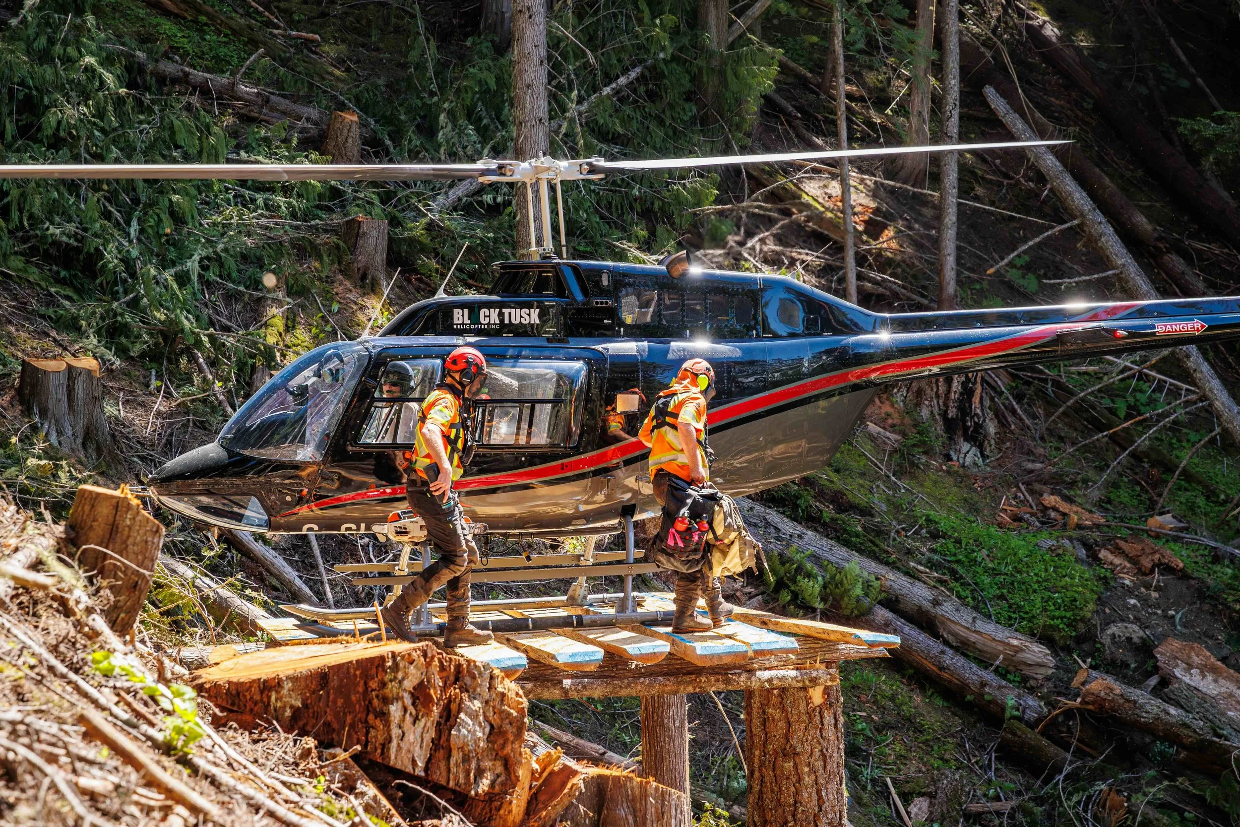 Spel’kúmtn Community Forest distributes $339,030 to Shareholders