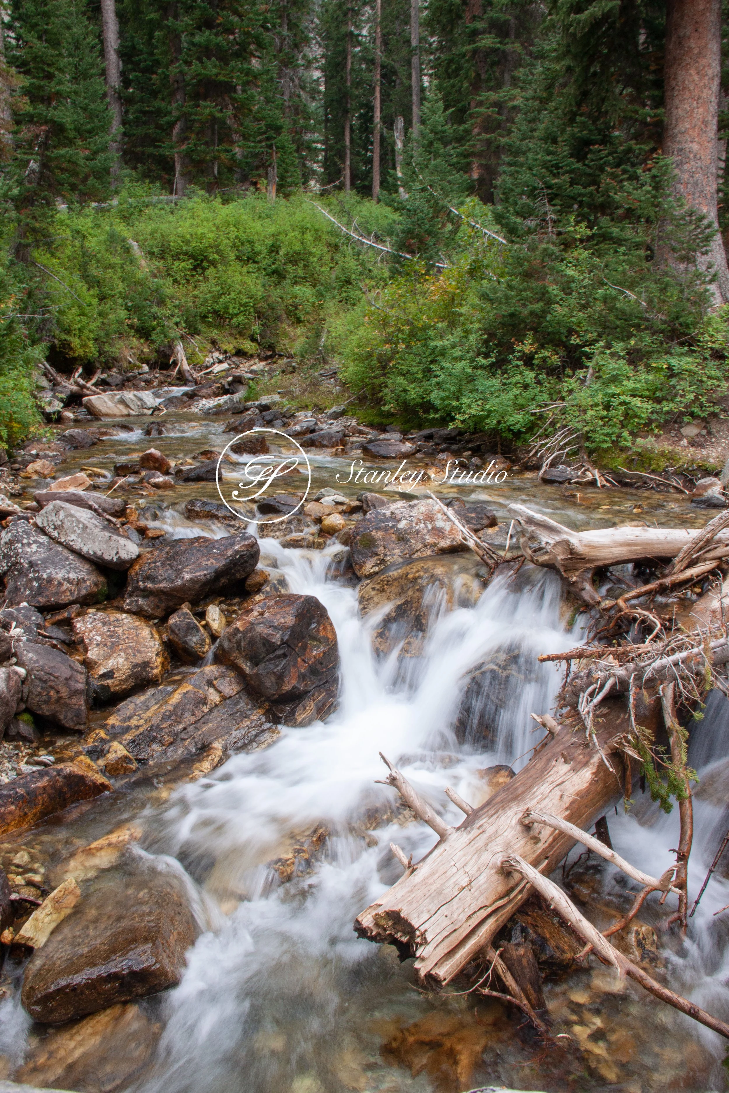 IMG_0745_Grand Teton Hike.jpg
