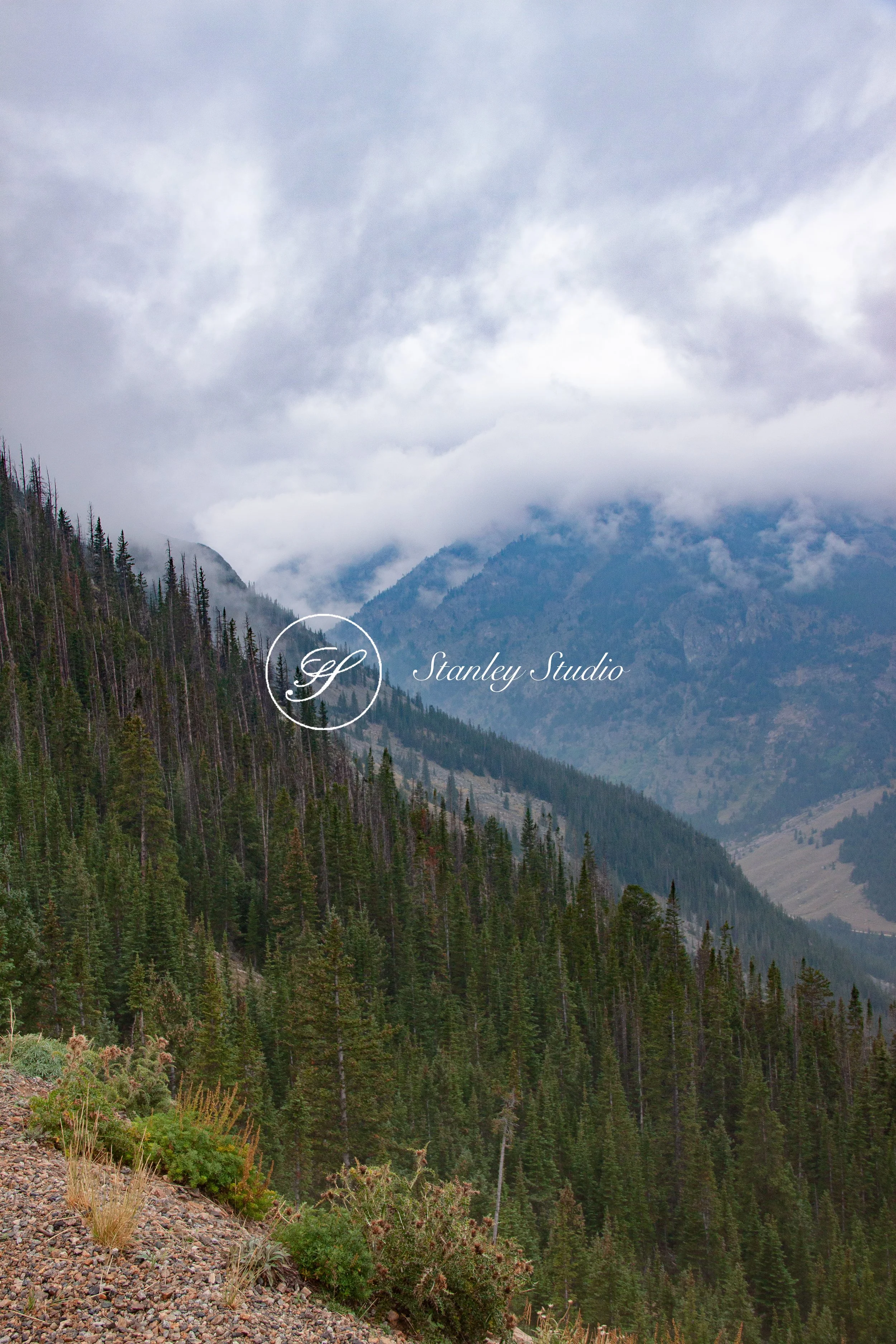 IMG_1150_Beartooth hwy fog 2.jpg