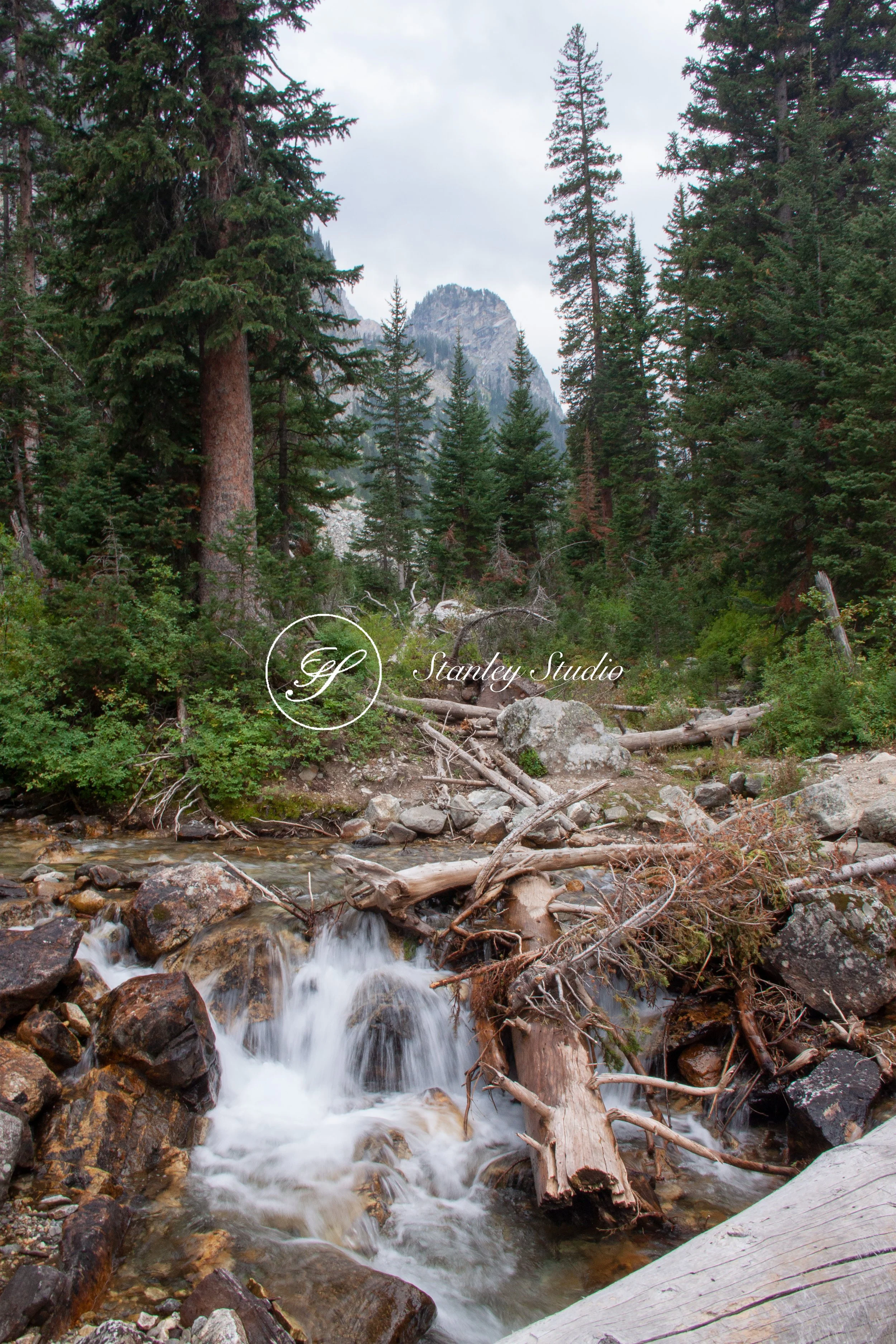 IMG_0749_Grand Teton Hike 2.jpg