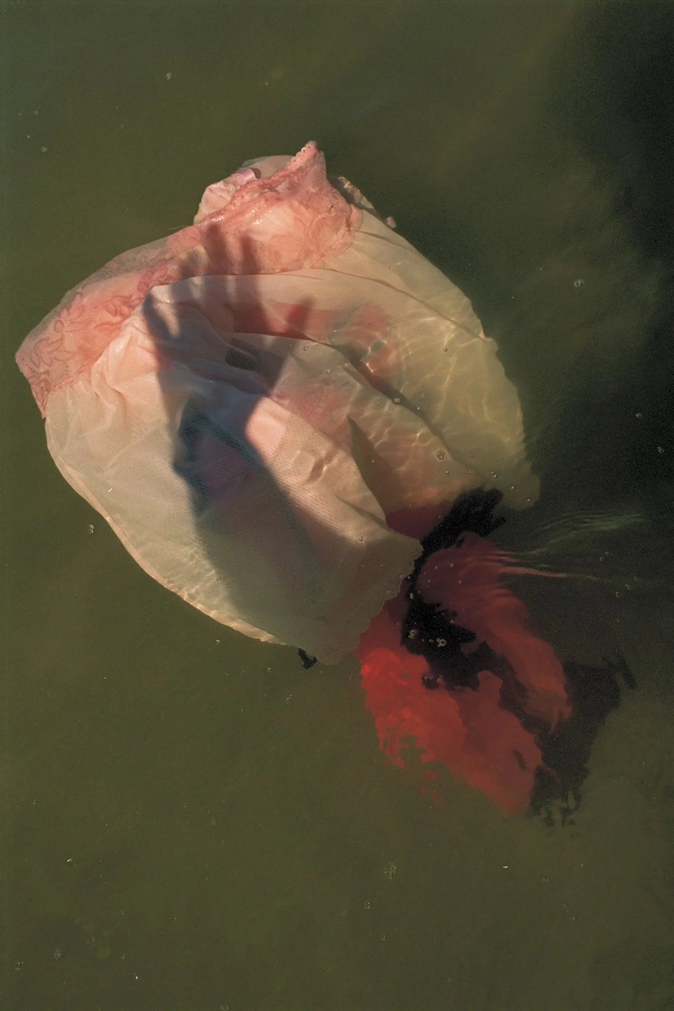 Veil_Magidson_Elena_.jpg