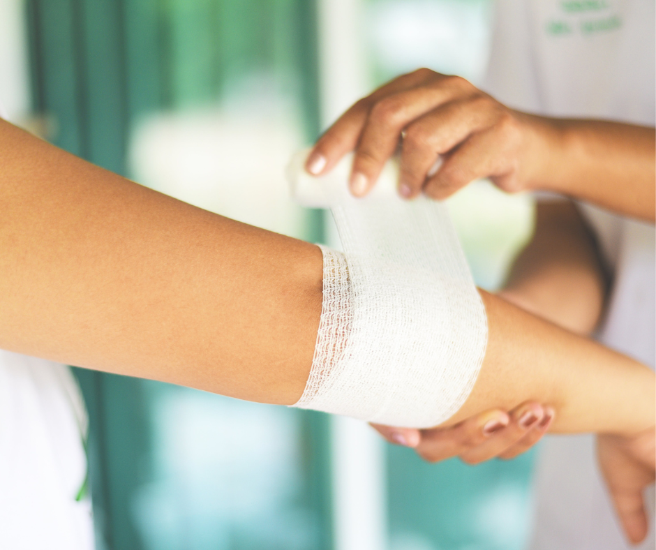 Protect Your Rights Kentucky's Leash Laws Explained — Regard Law