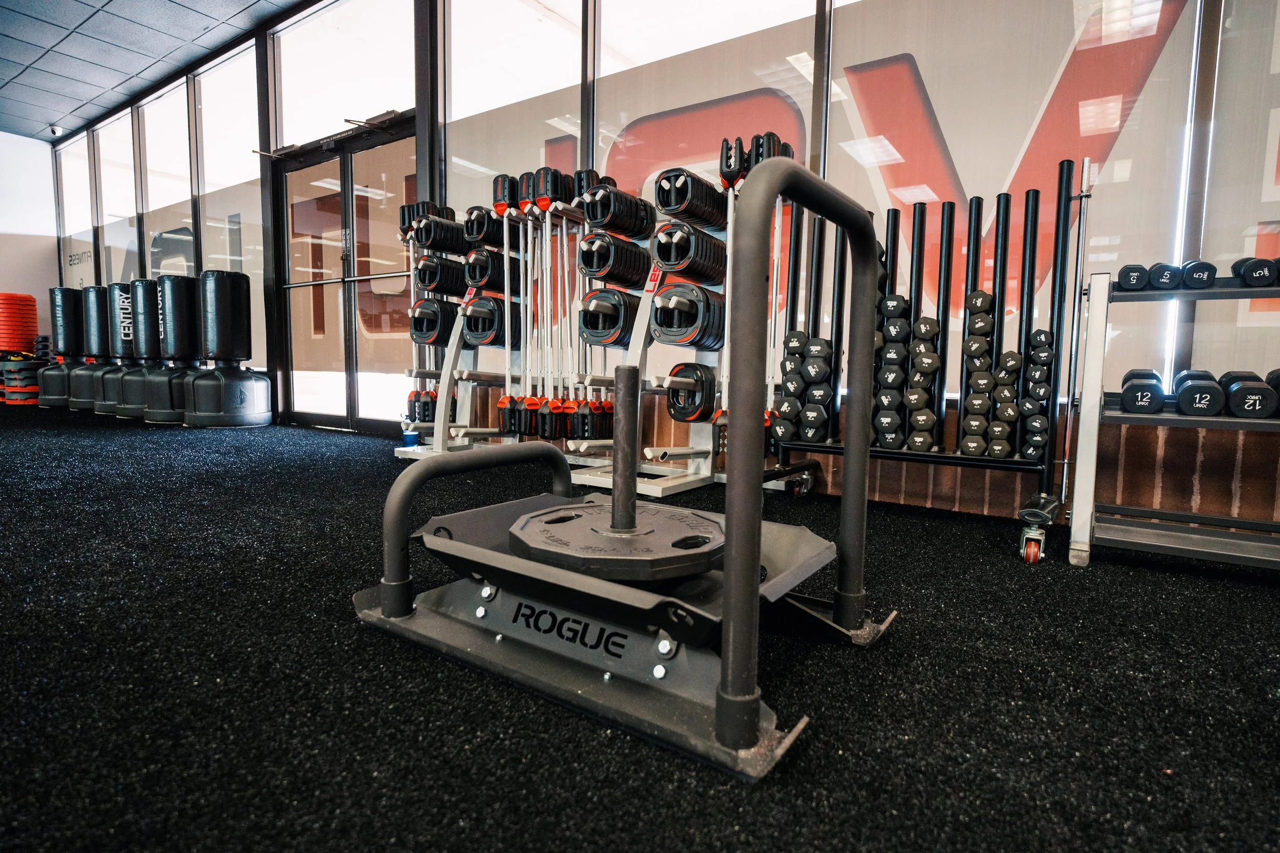 EVOLUTION FITNESS