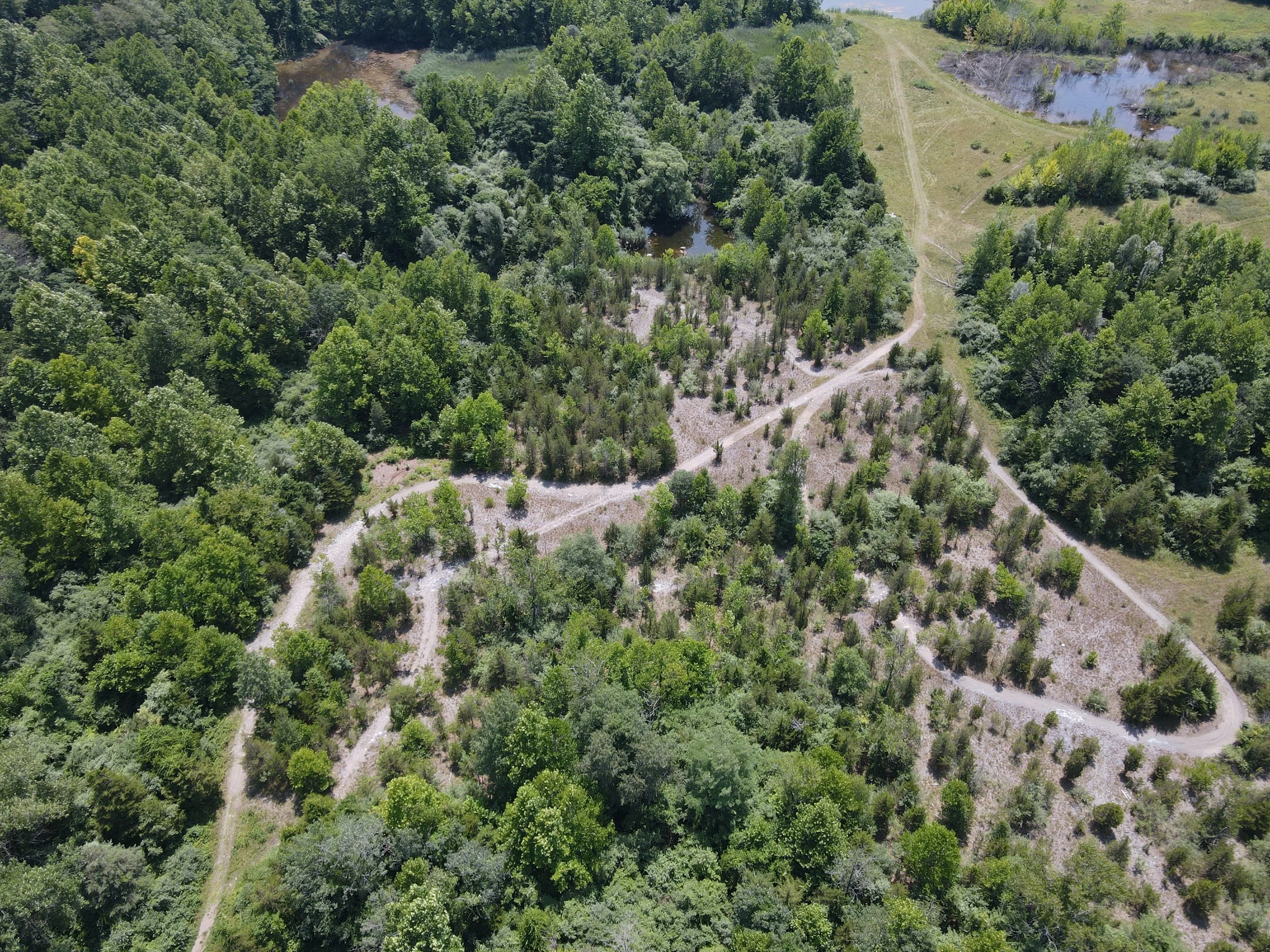 Upper Mount Bethel Preserve Master Plan