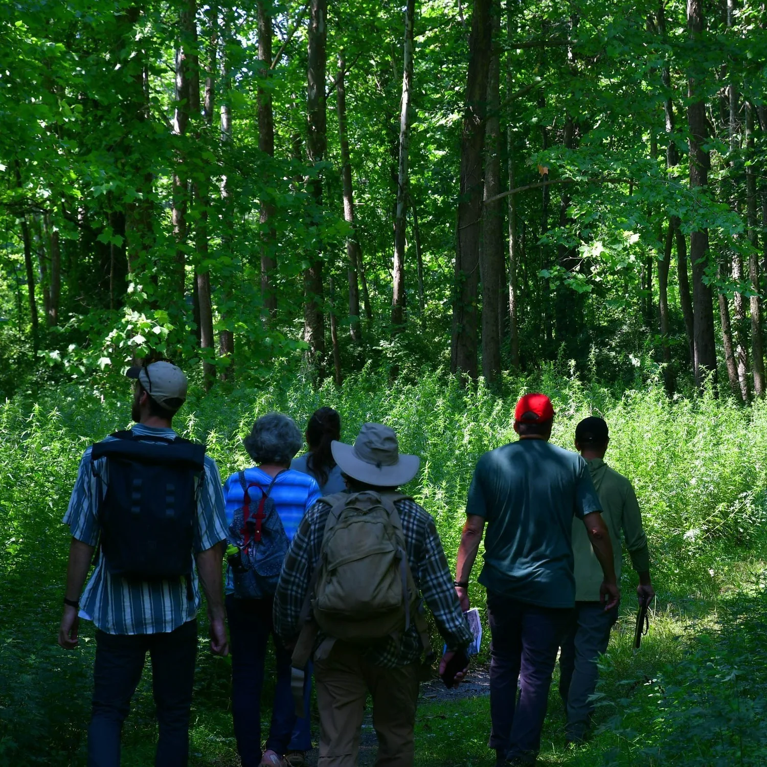Upper Mount Bethel Preserve Master Plan