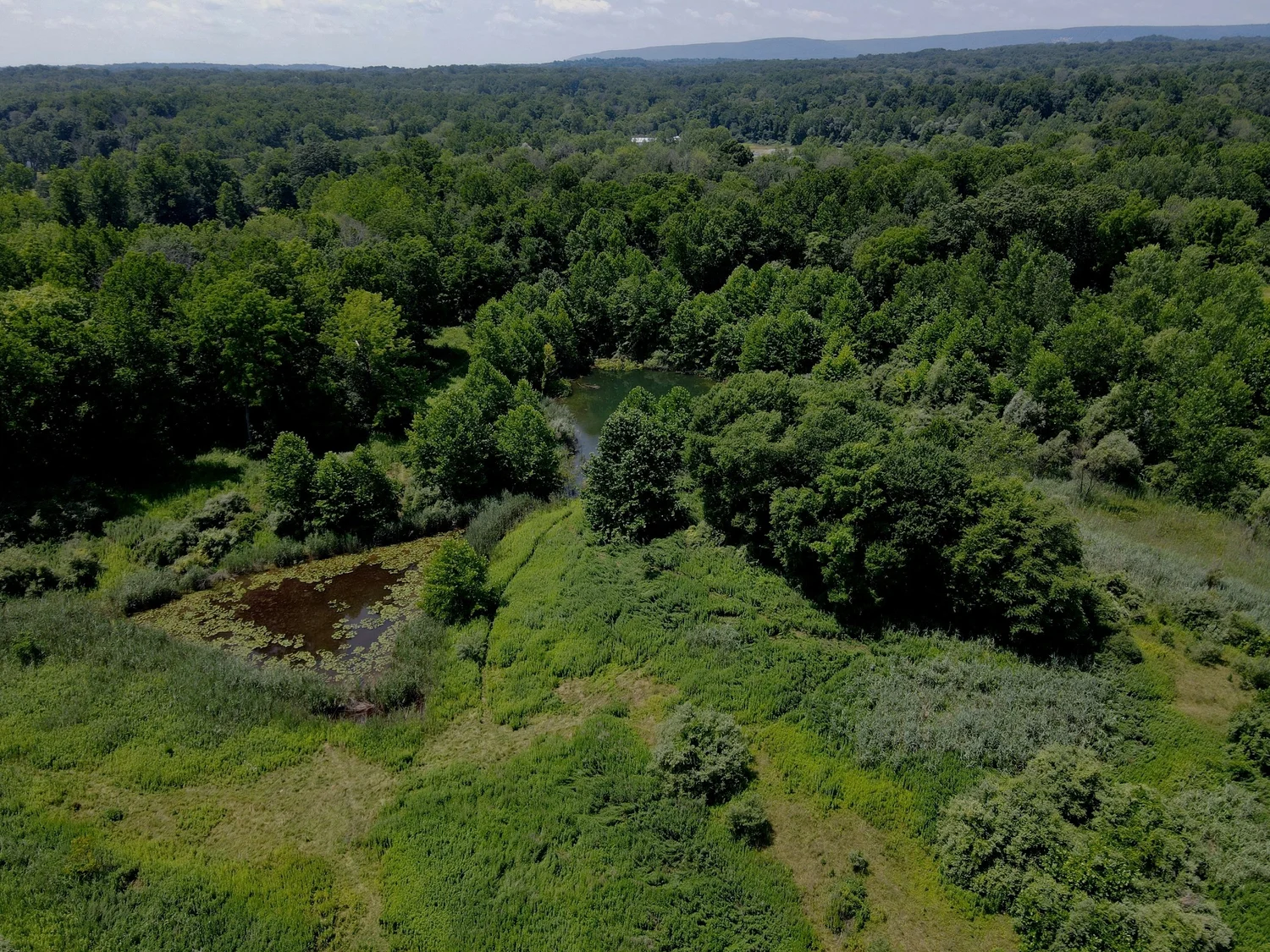Upper Mount Bethel Preserve Master Plan