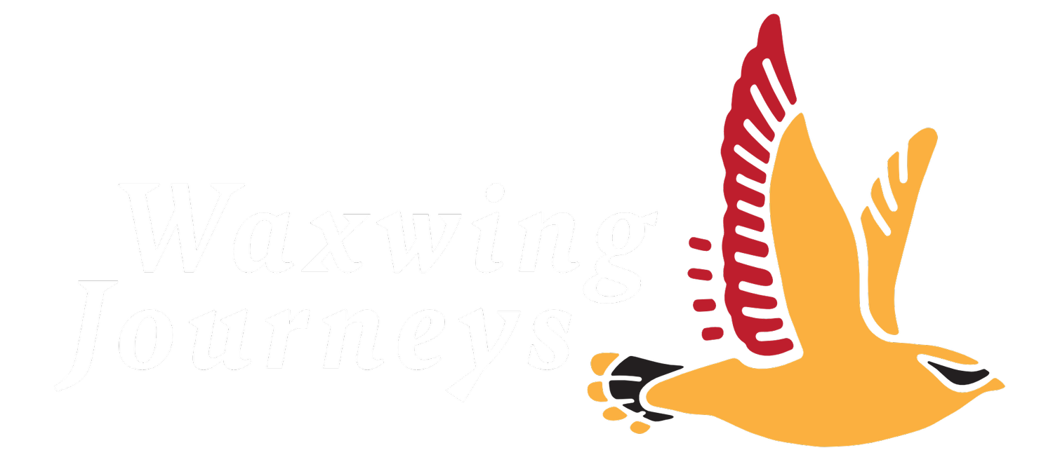 Waxwing Journeys
