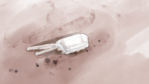 Art Illustration GIF by sophiaqin (4).gif