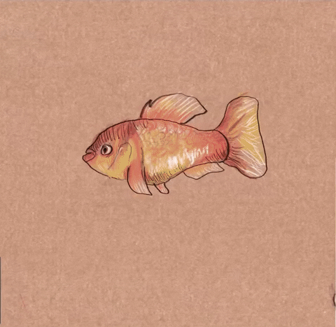 Fish Evolve GIF by sophiaqin-downsized_large.gif