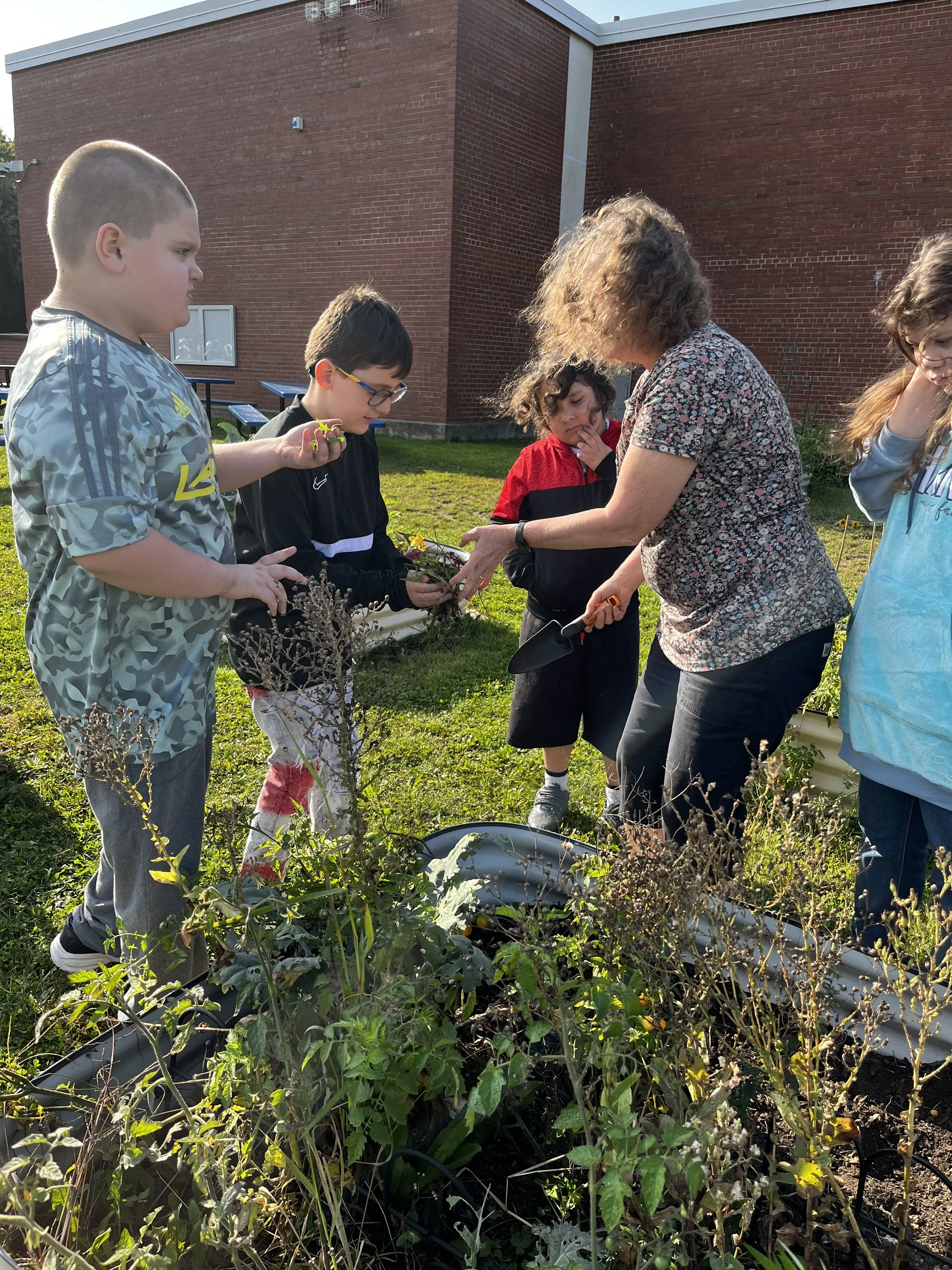 Showcase: Creating meaningful science opportunities in the classroom &amp; beyond 