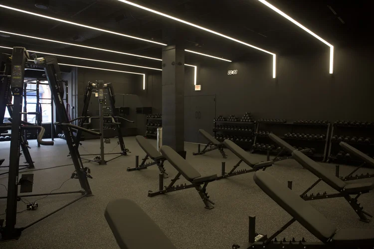 The training floor, a row of benches with climbers and dumbbell racks under linear lighting
