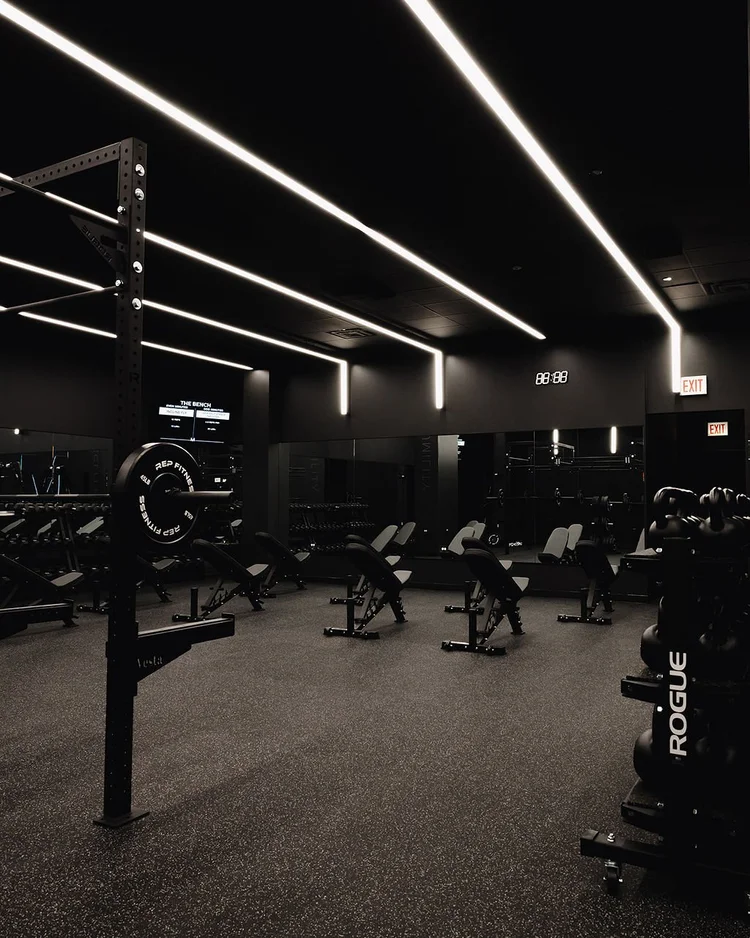 The rig and the weight racks under linear ceiling lighting, loaded barbells racked along the wall