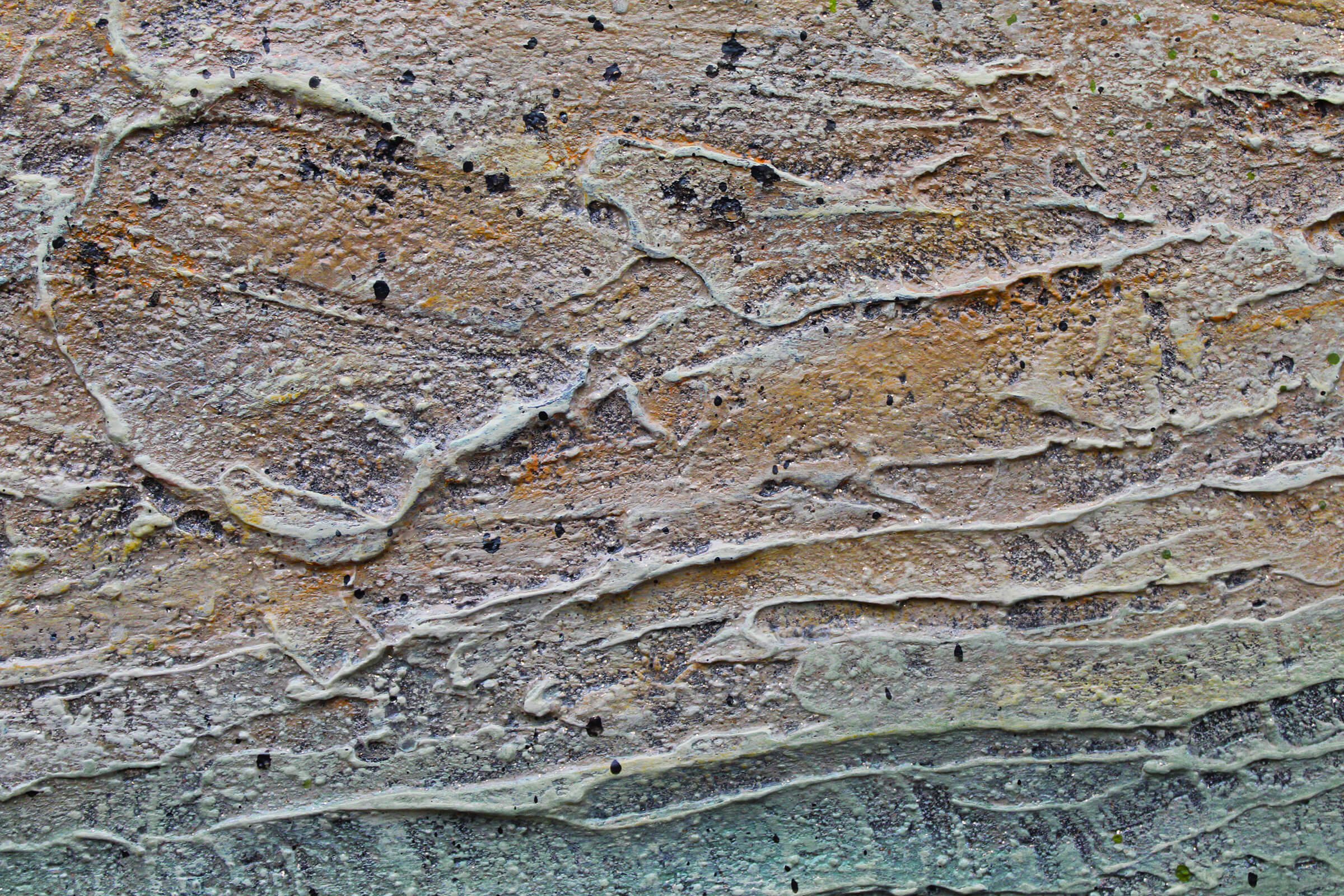 Symphony_close up.jpg