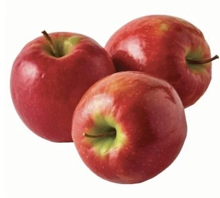 Programs Event: Apple Identification with Jean Williams