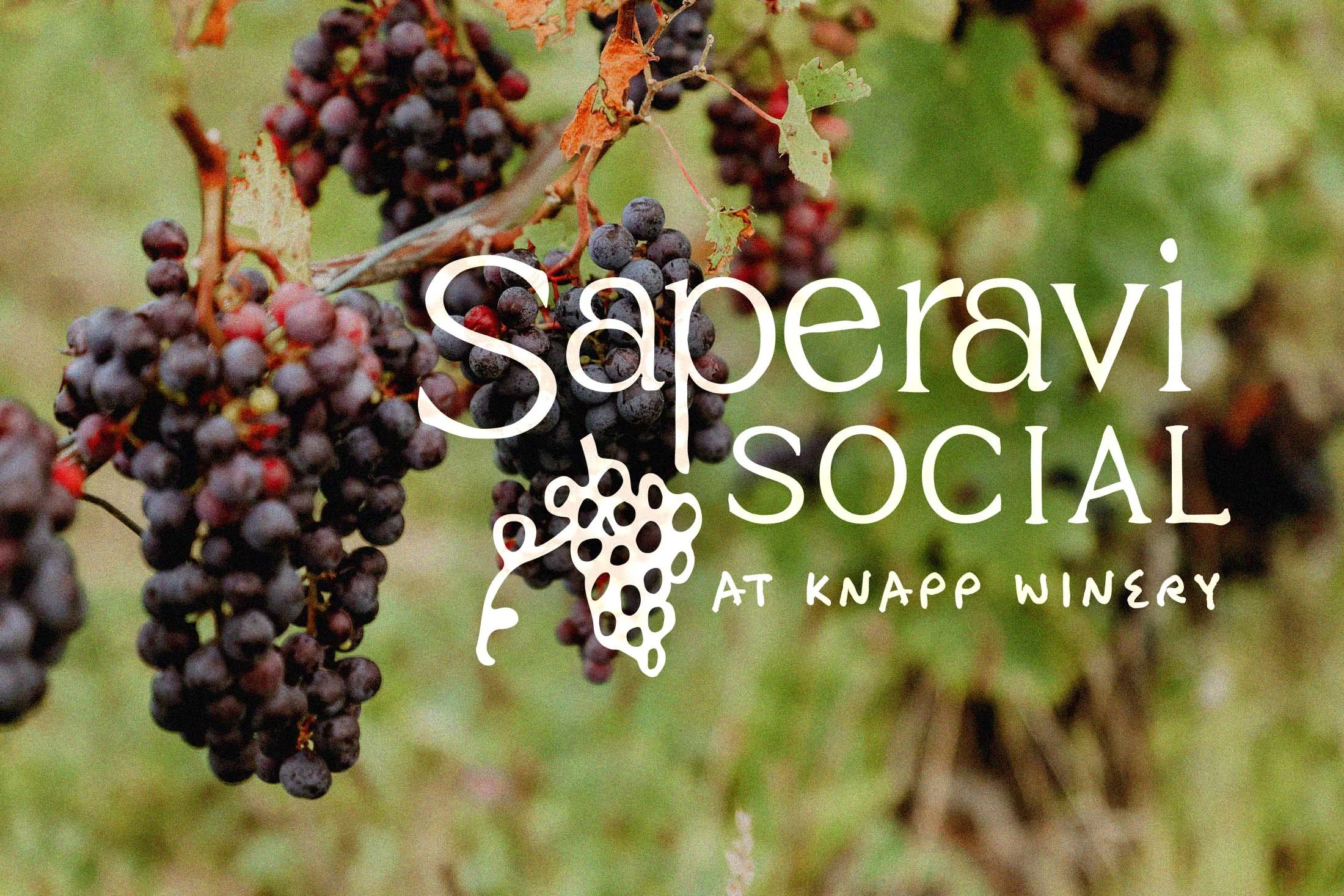 Saperavi Social at Knapp