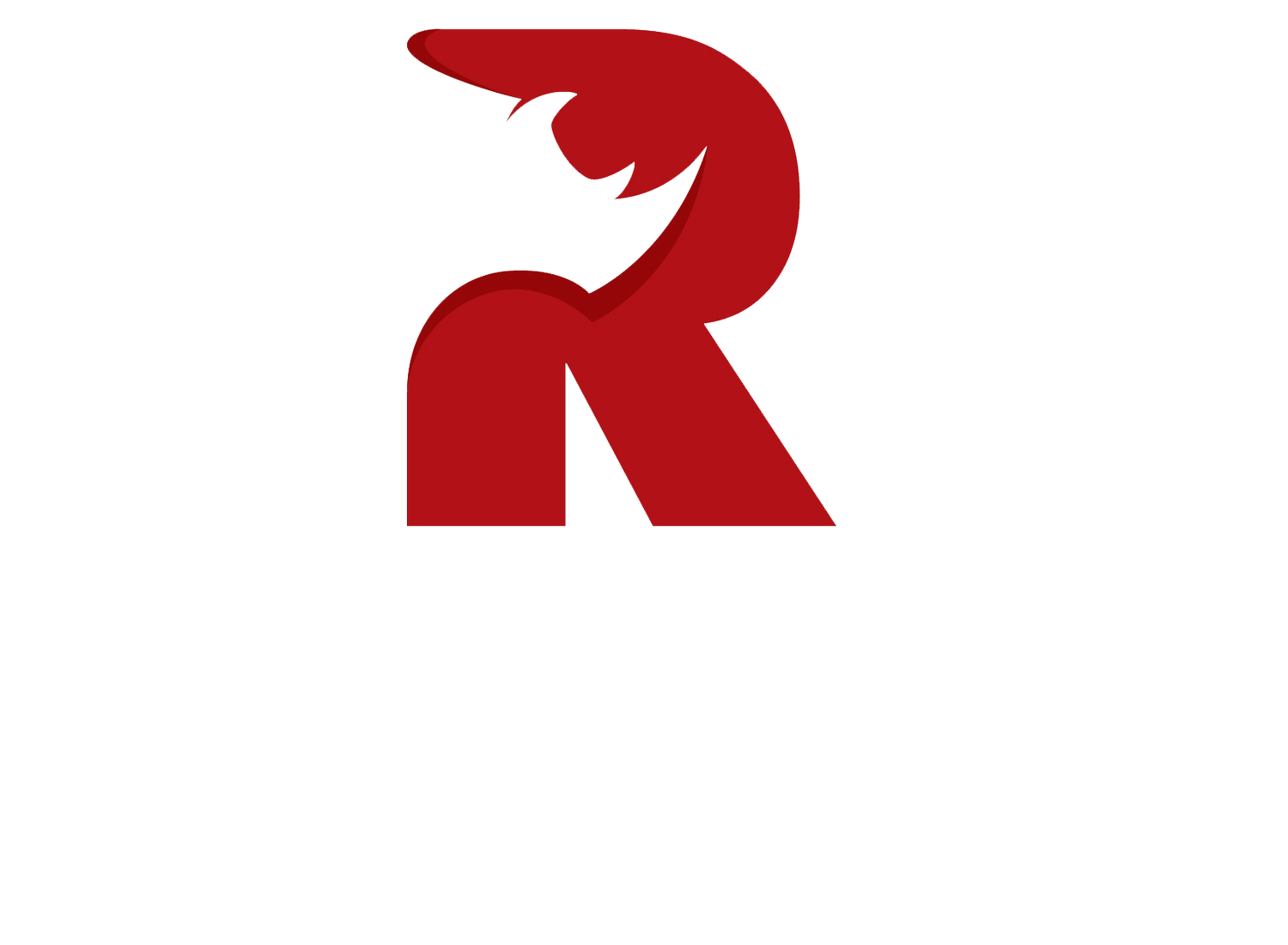 Rhino Construction LLC