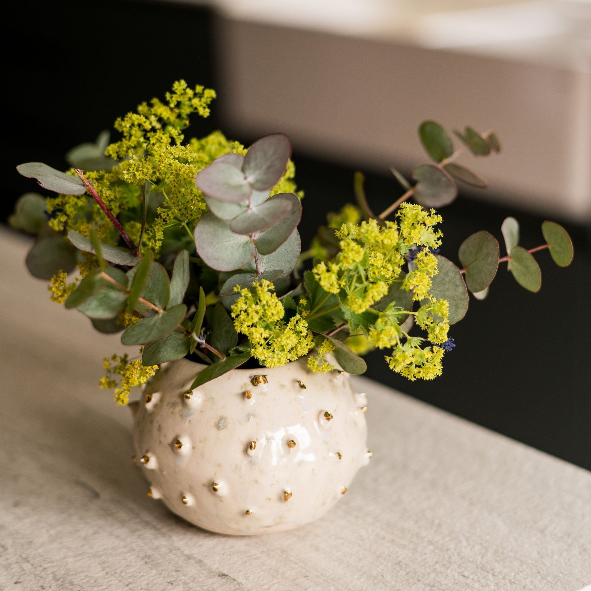 Sea+Urchin+Vase+JB+2.jpg