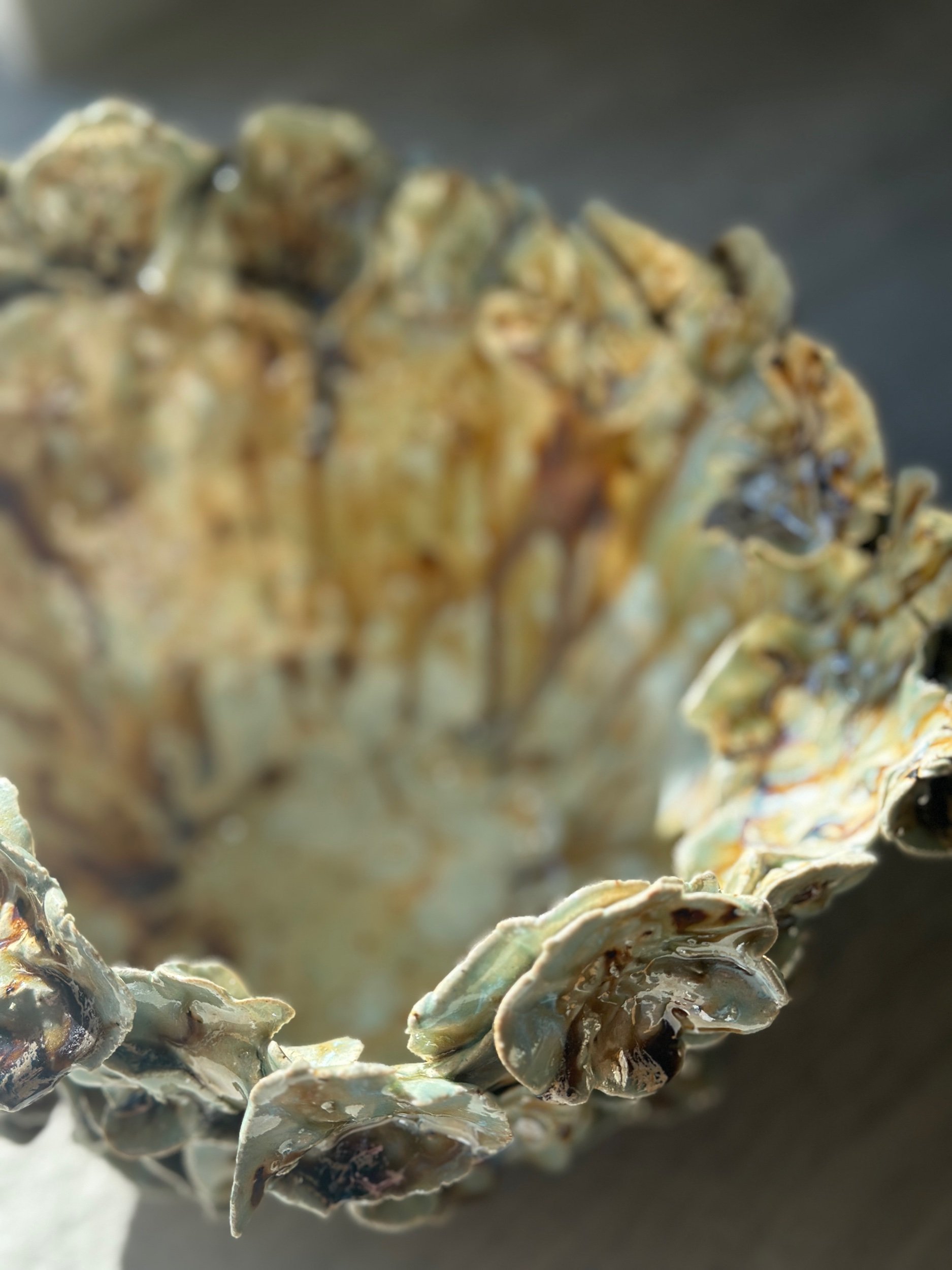 08181299-B006-443B-AD1E-8CE9C344AA66.jpeg