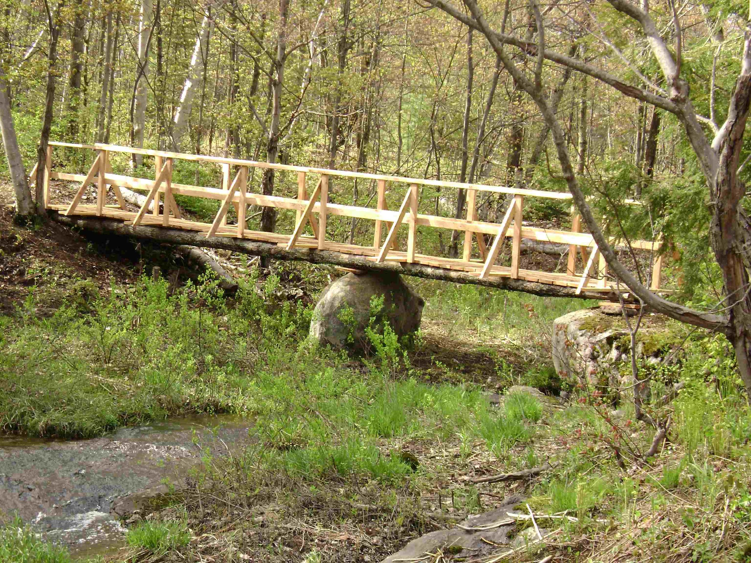 2009 building a new bridge on the trail.jpg
