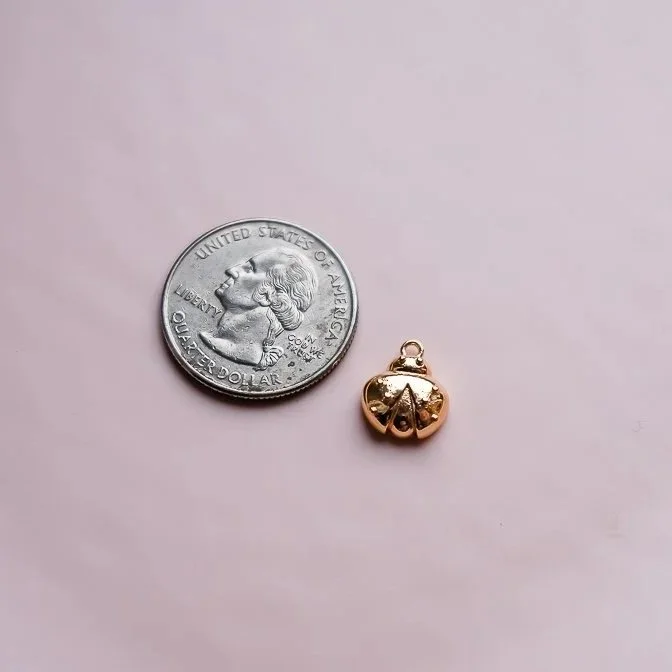 Ladybug Charm