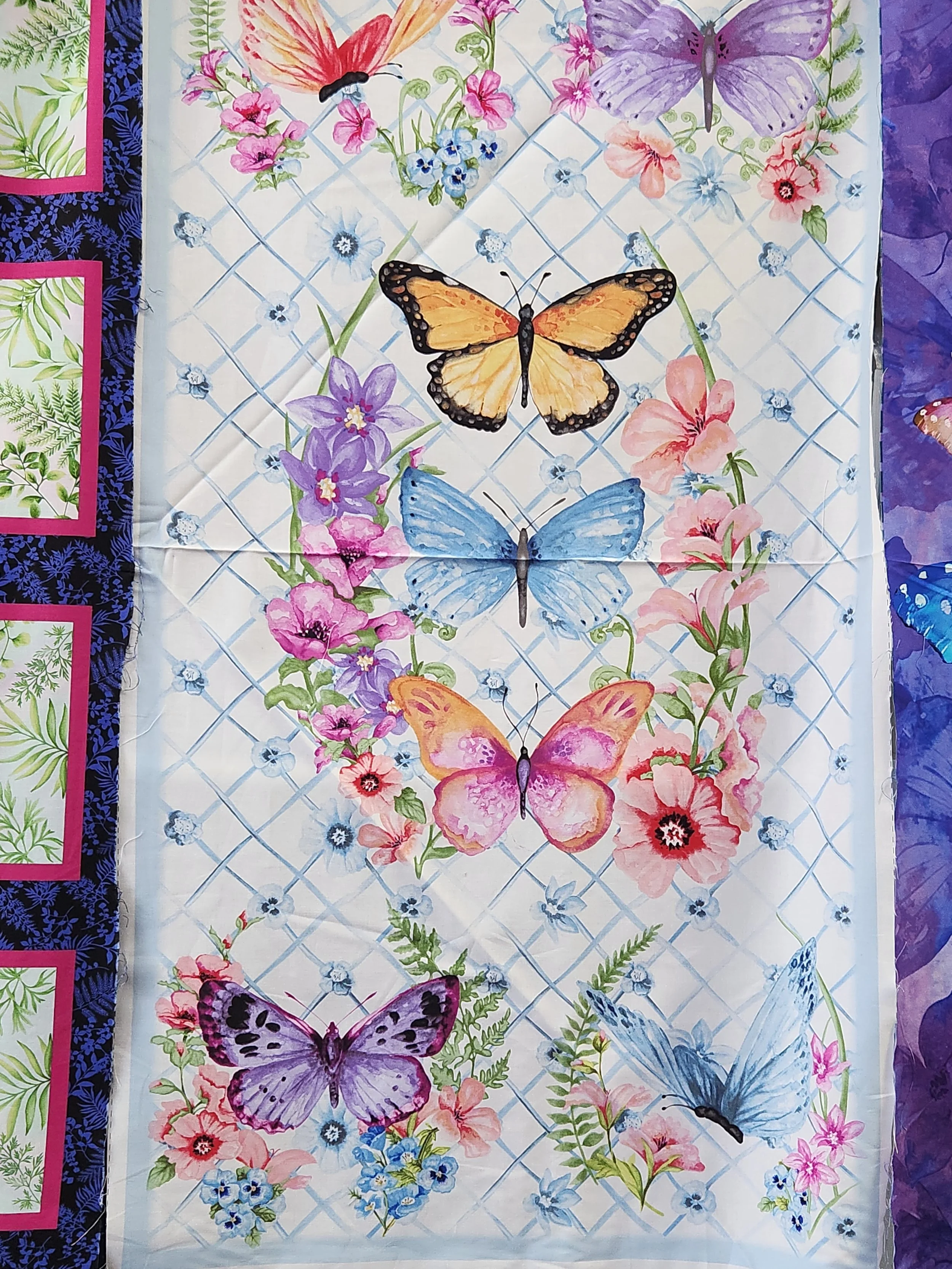 Blank Papillon Parade b-9364p Butterfly panel white background