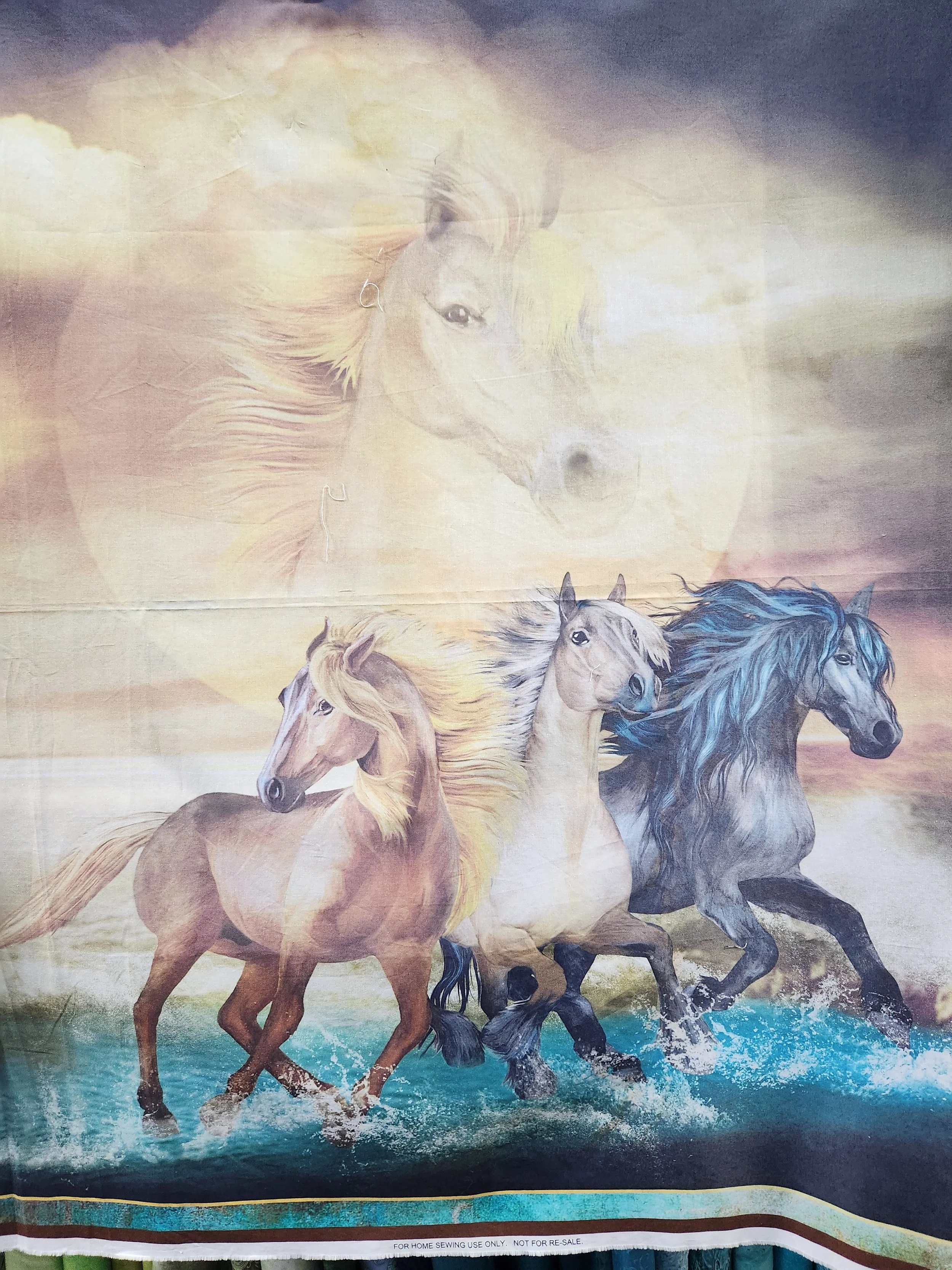 QT Fabrics Wildhorses 1649*-29771-x Beautiful wild horses on a orange sunset background