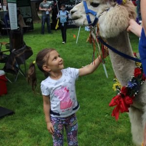 Girl petting llama.