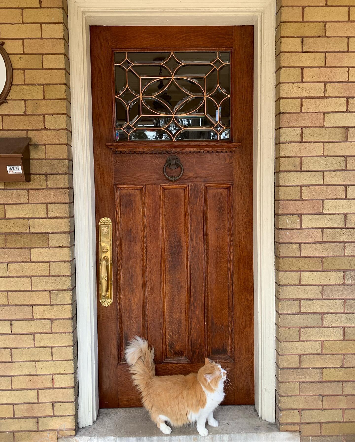 Sometimes your door just needs a little spiff-up with some new hardware and a polish. Our good friend John Storey replaced some broken beveled glass and cleaned up the original copper channel in the window and made it look brand new. We added an auto