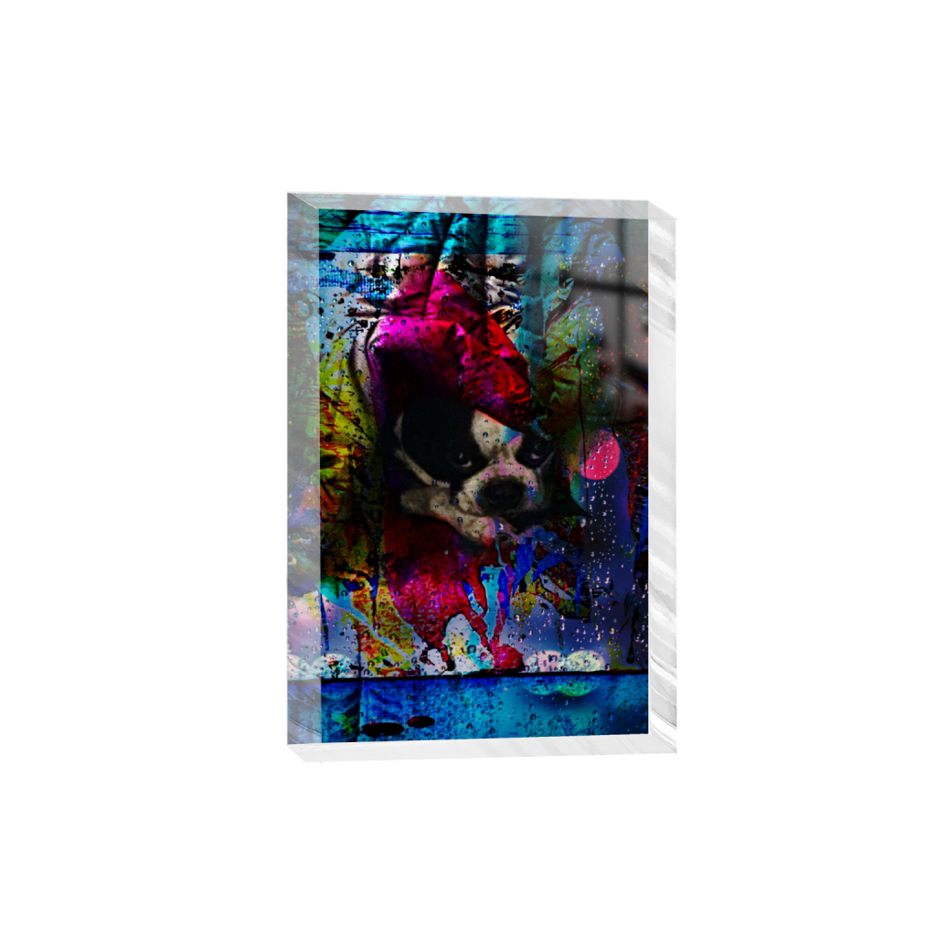 ptq_300_3_372_0_2256_3384_0_false_ffffff_0_0_.png
