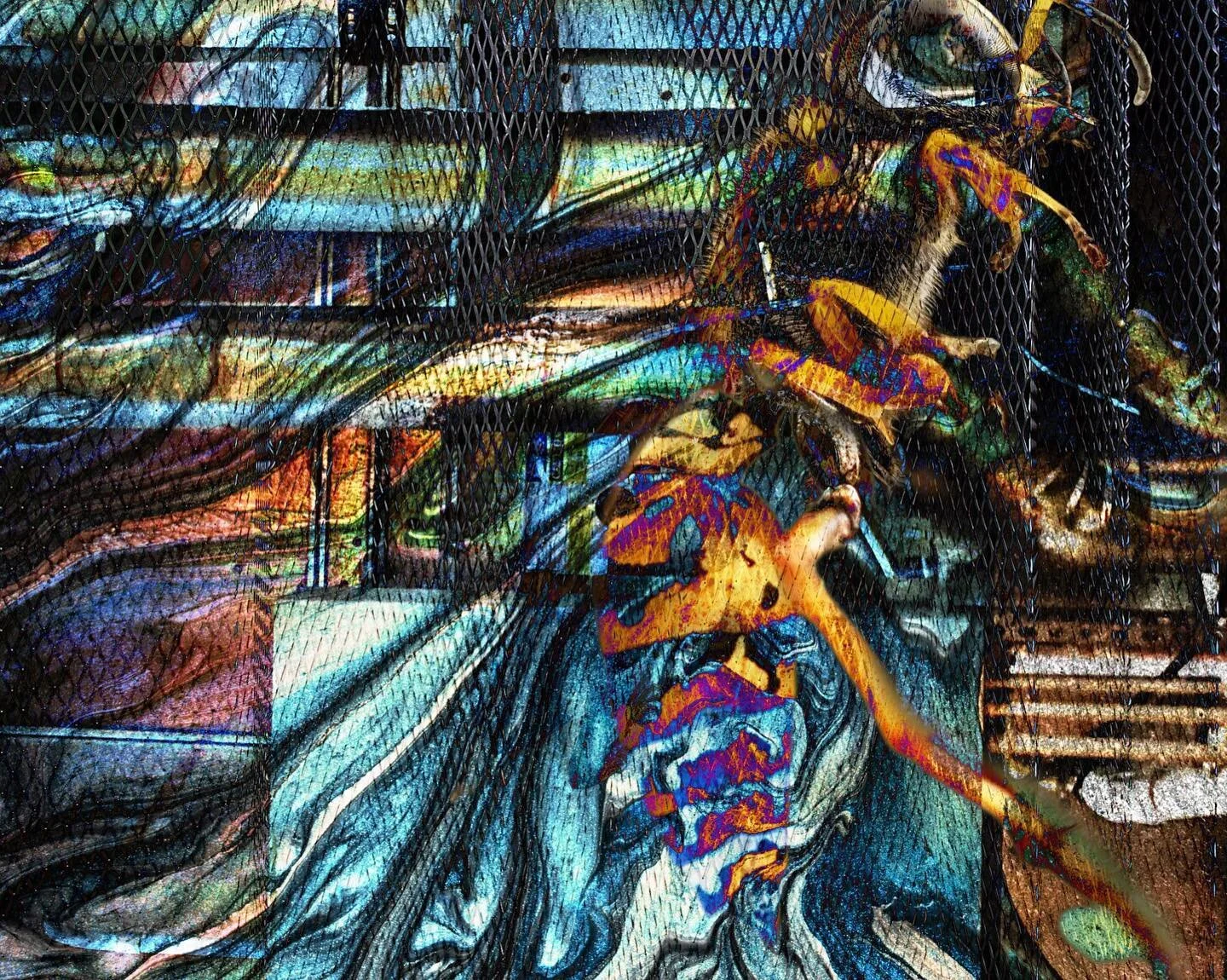 Wasp On The Fence. 
.
.
.
#art #abstract #abstractart #abstractartist #digitalart #photoedits #photooverlays #collage #collageart #weirdart #digitalcollageart