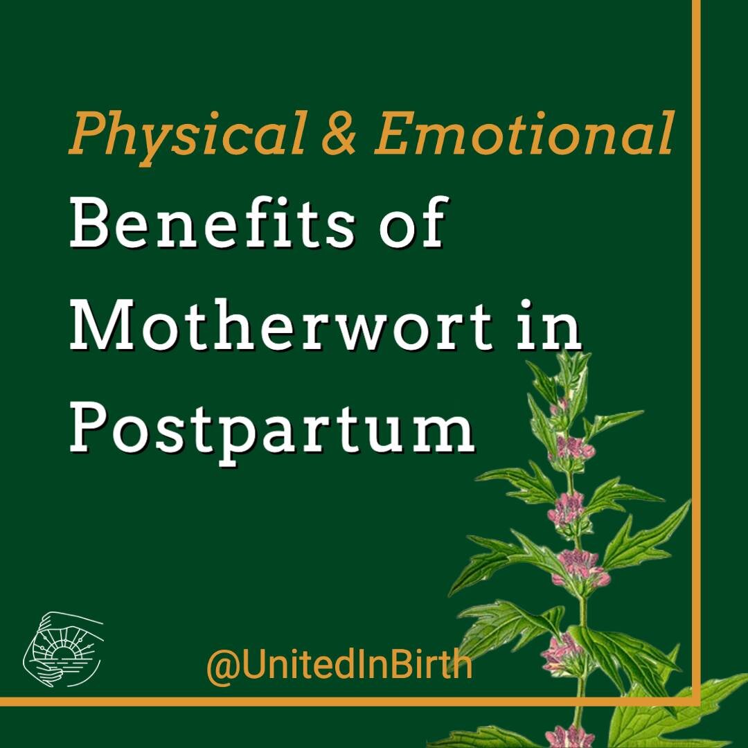 The act of mothering is genderless 💚

In honor of Mother's Day, I want to highlight Motherwort. Many of us, as Queer folx, have a complicated relationship with mothers &amp; motherhood. 

Motherwort is here to hold us through those complicated feeli