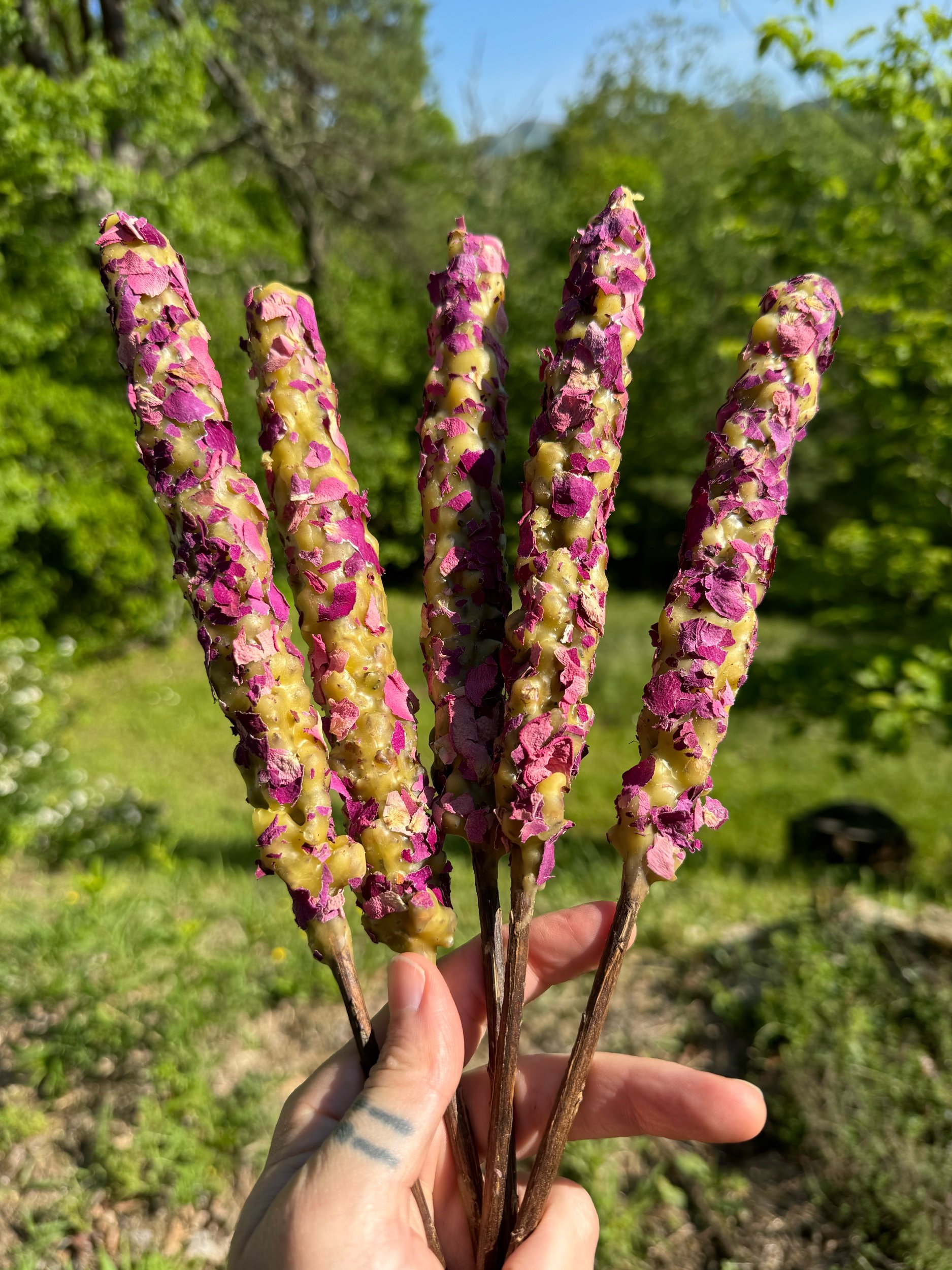 Mullein Torch