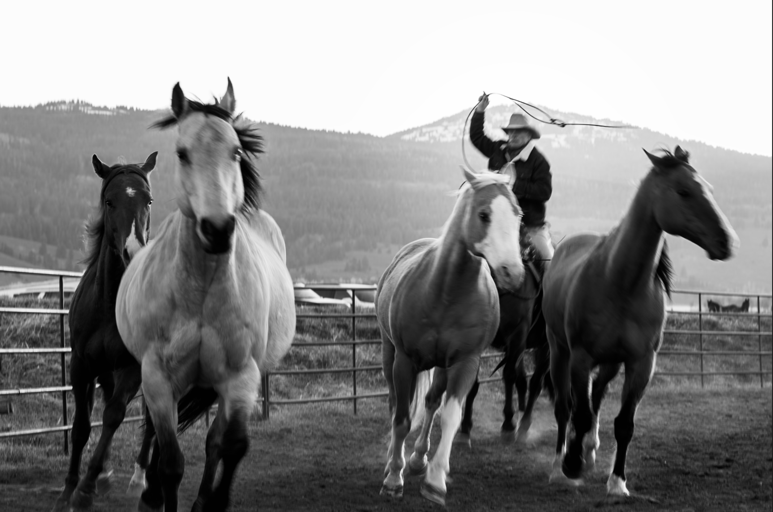 WHY CREATIVE CONSISTENCY MATTERS FOR BRAND GROWTH