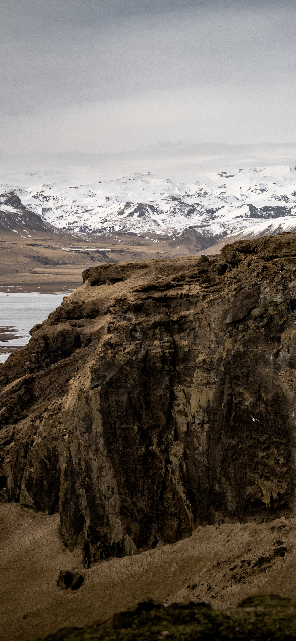 Screenshot 2026-03-25 at 12.08.35 PM.png