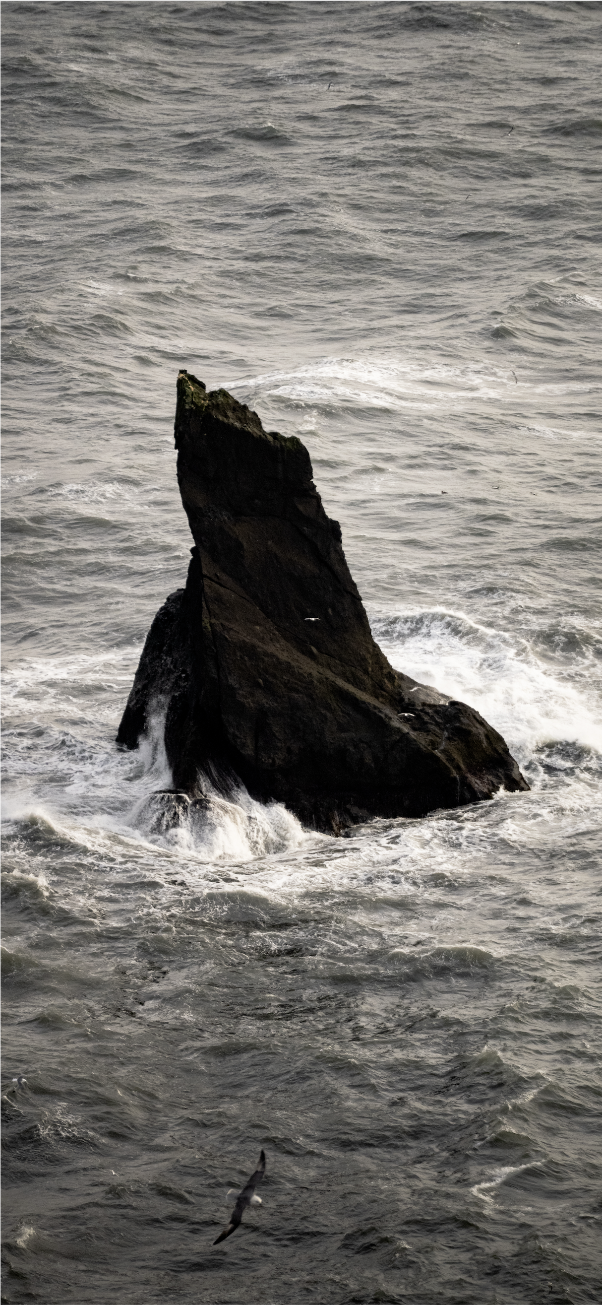 Screenshot 2026-03-25 at 12.08.22 PM.png