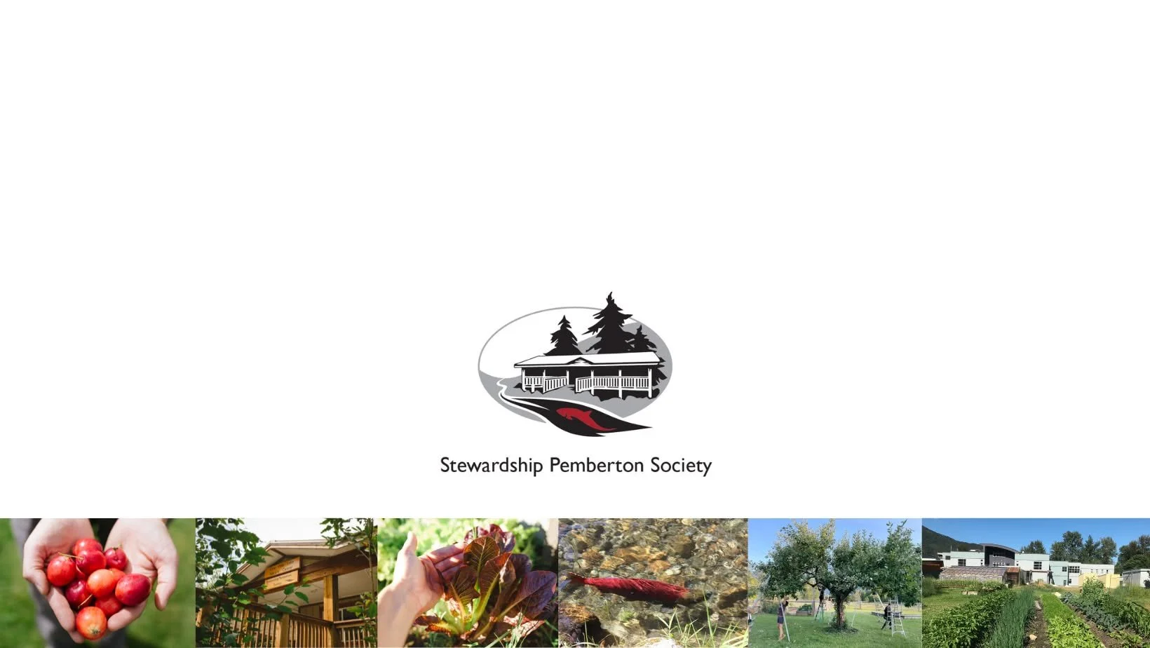 Annual General Meeting & Social